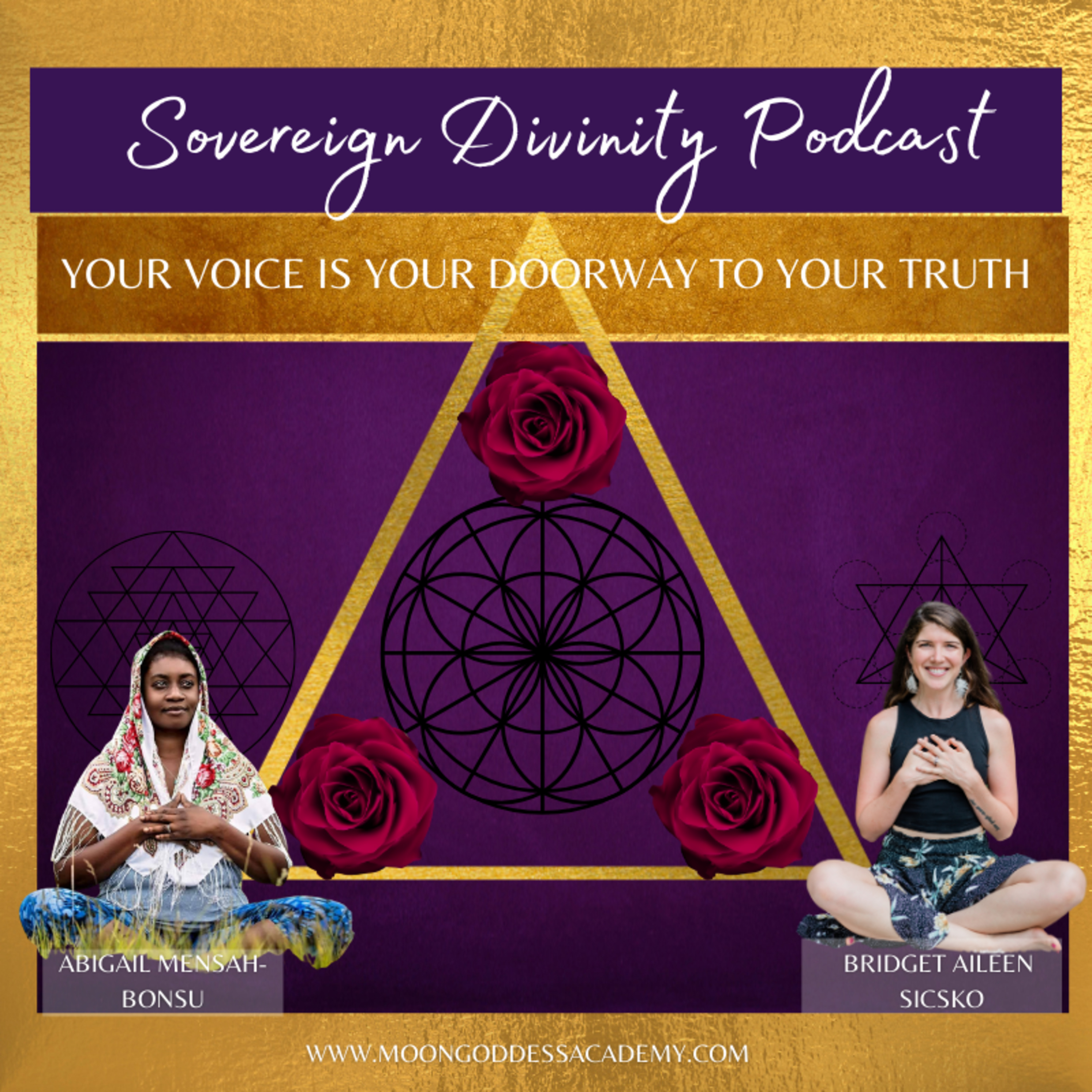 Your Voice Is Your Doorway To Your Truth With BRIDGET AILEEN SICSKO episode artwork
