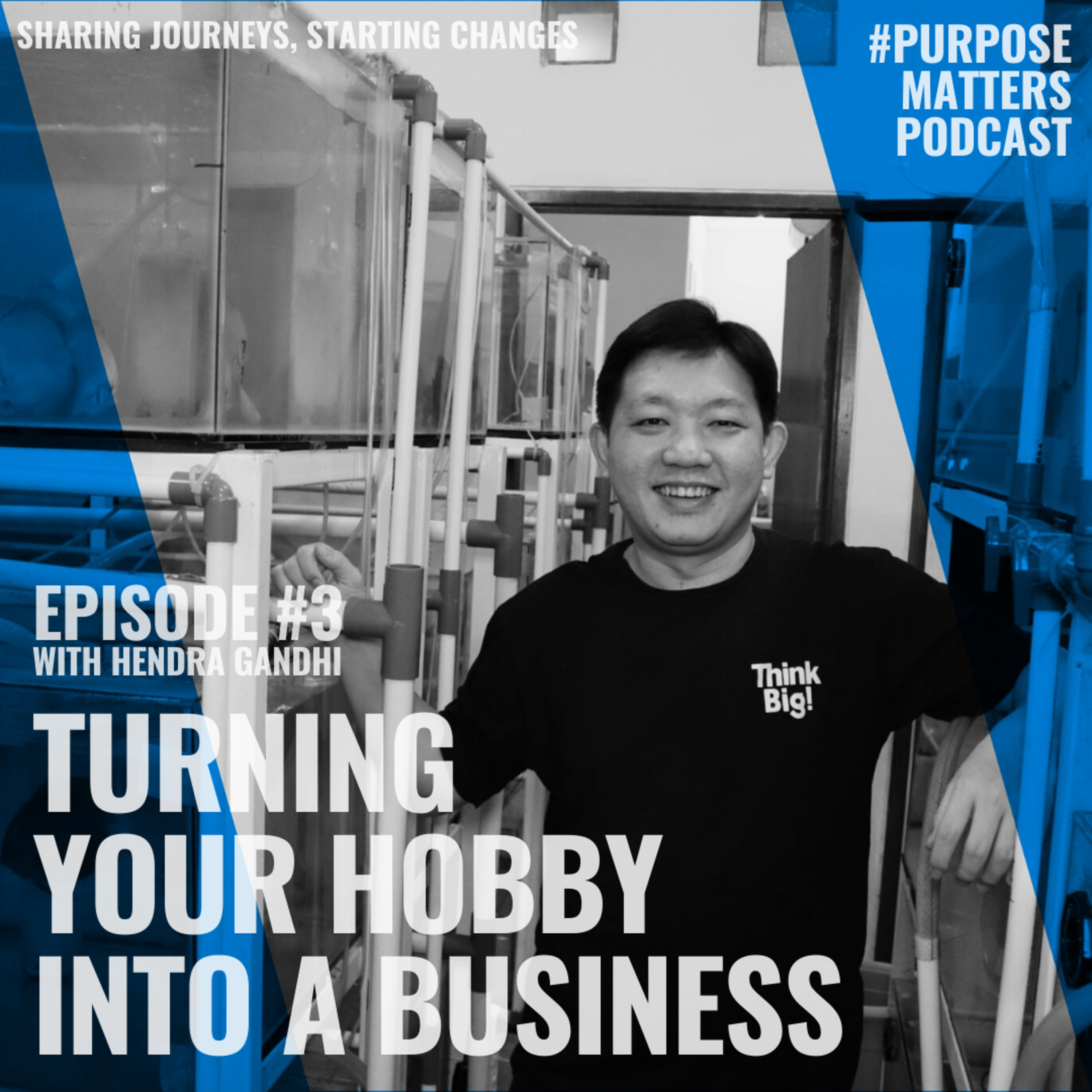 #003 - Turning Your Hobby Into A Business with Hendra Gandhi episode artwork