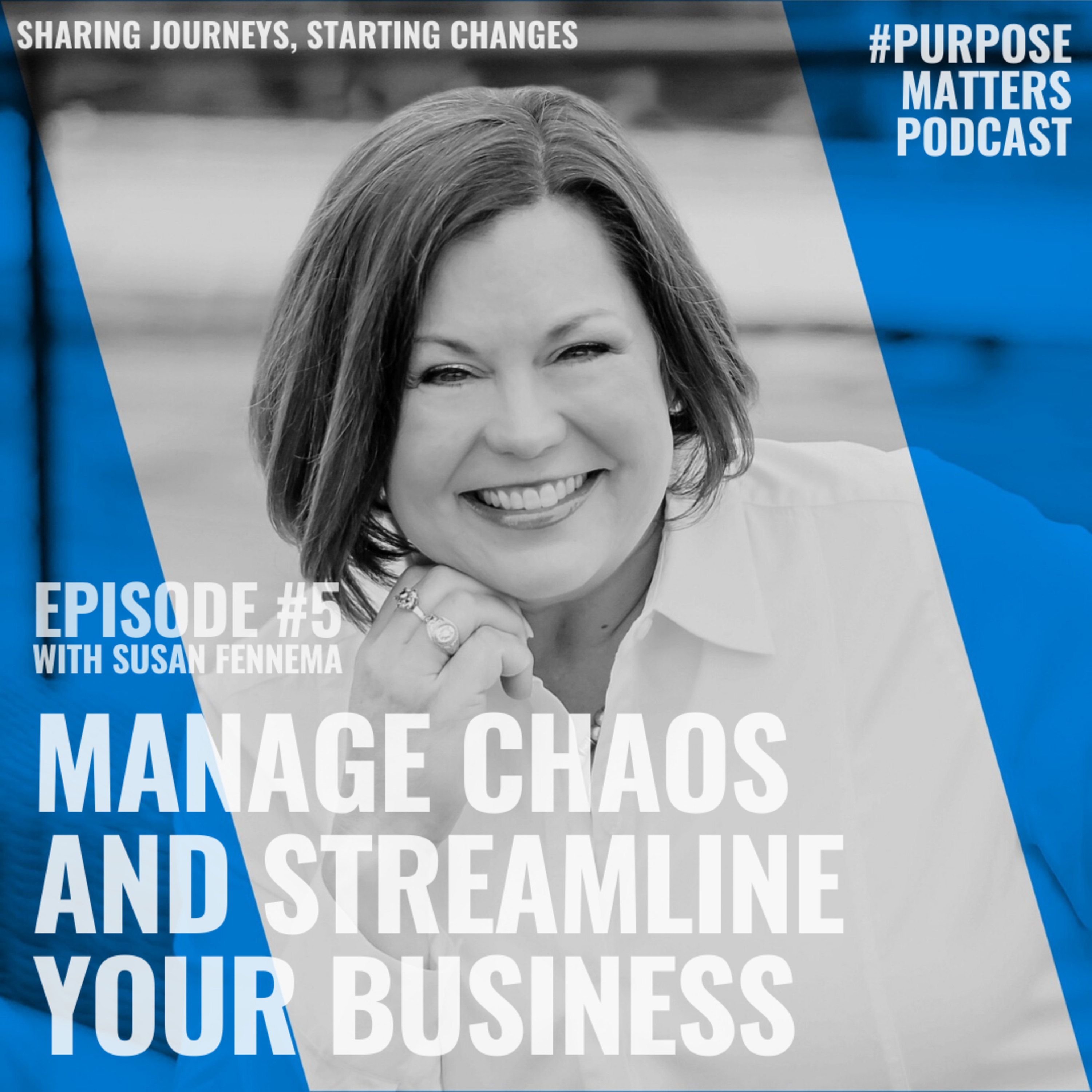 #005 - Manage Chaos And Streamline Your Business with Susan Fennema