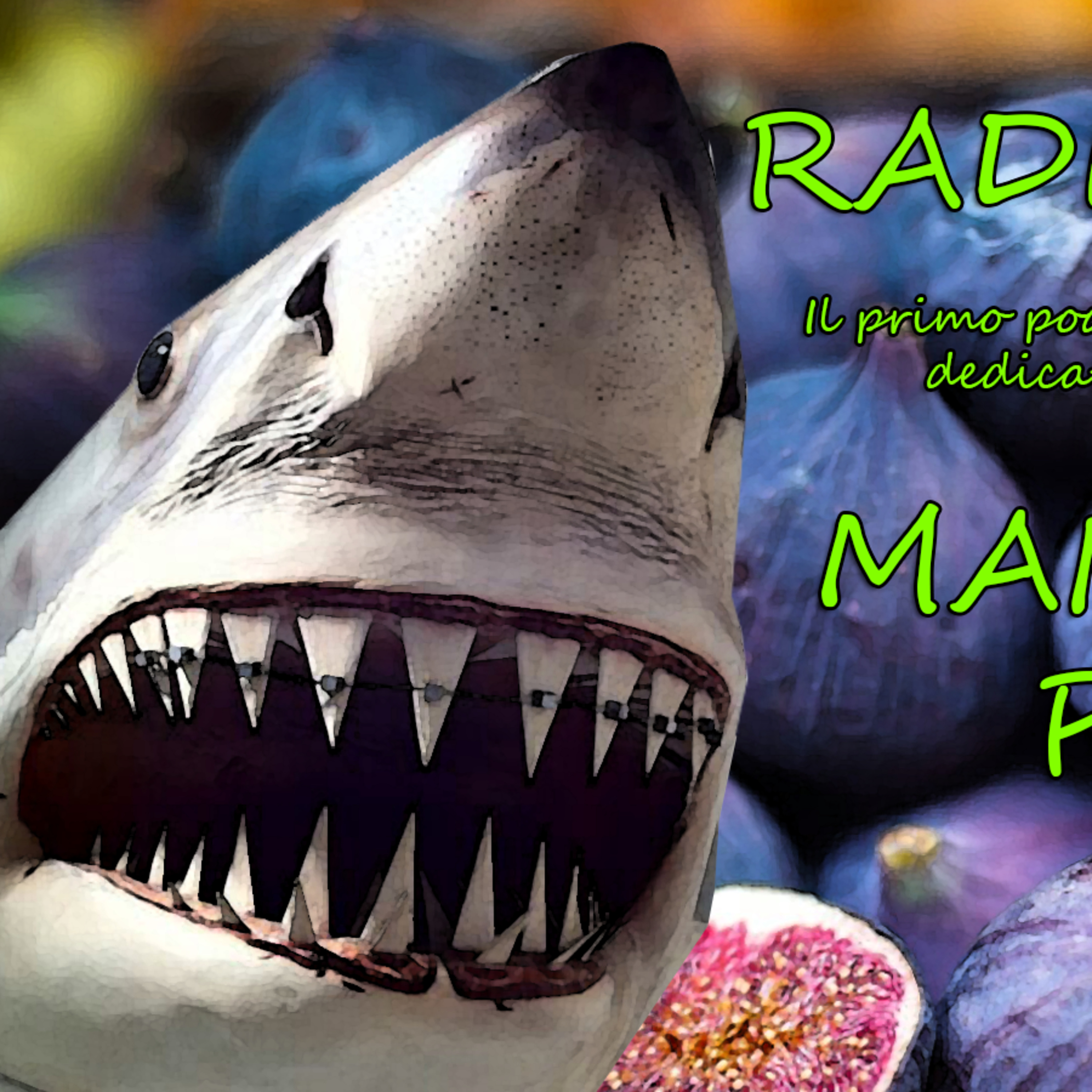 Radio Mosche Podcast