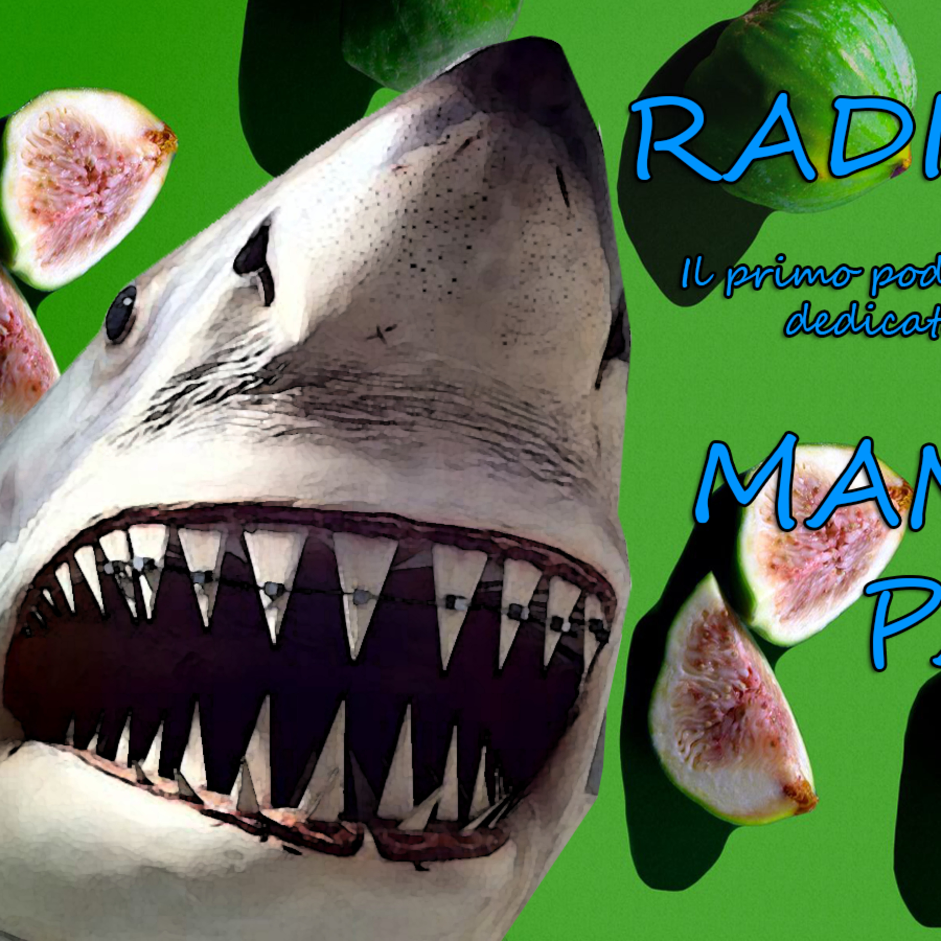 Radio Mosche Podcast