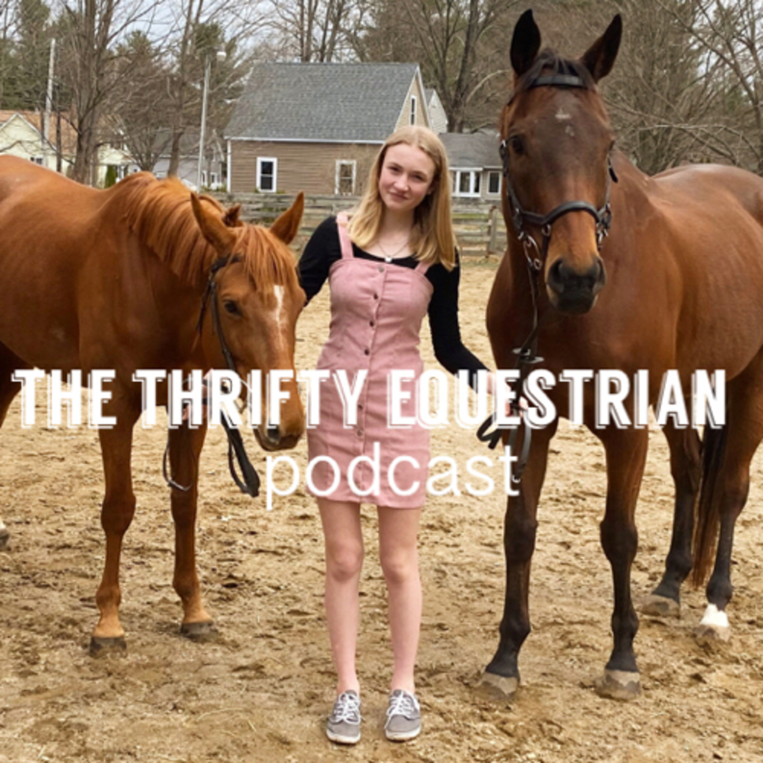Being an equestrian on a budget