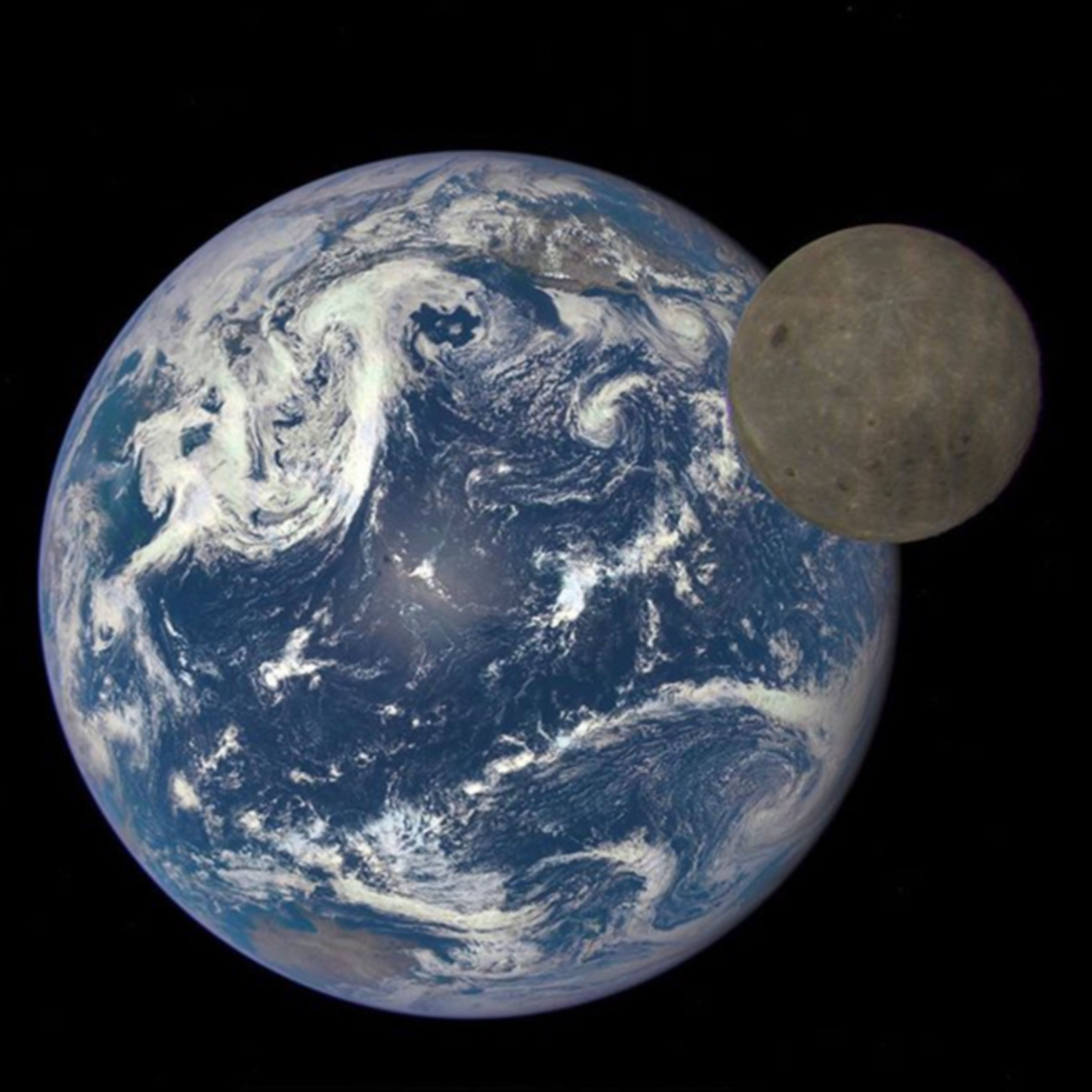 Plancktonovy rozmluvy