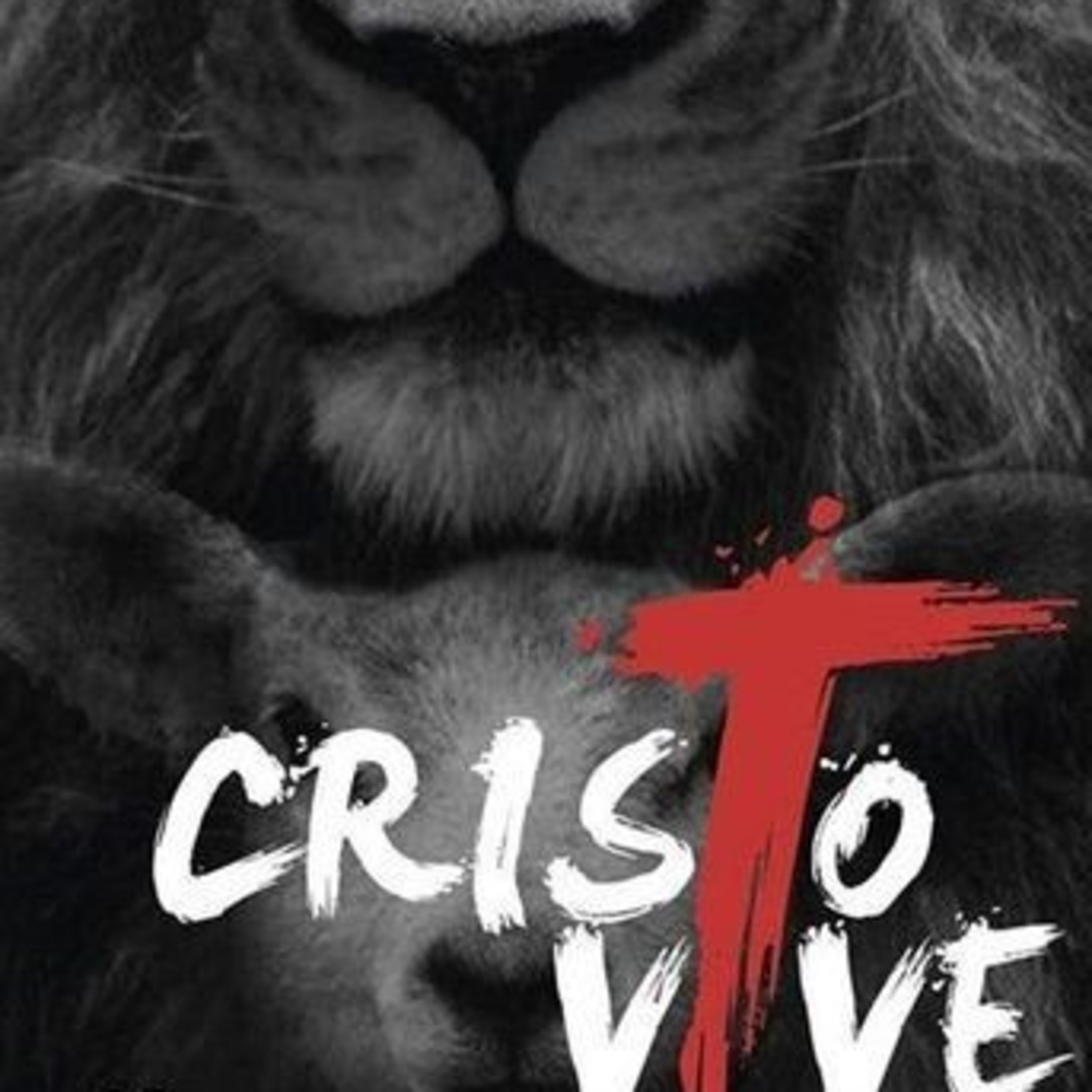 Um Minuto a Mais... Foi Por Ti  episode artwork
