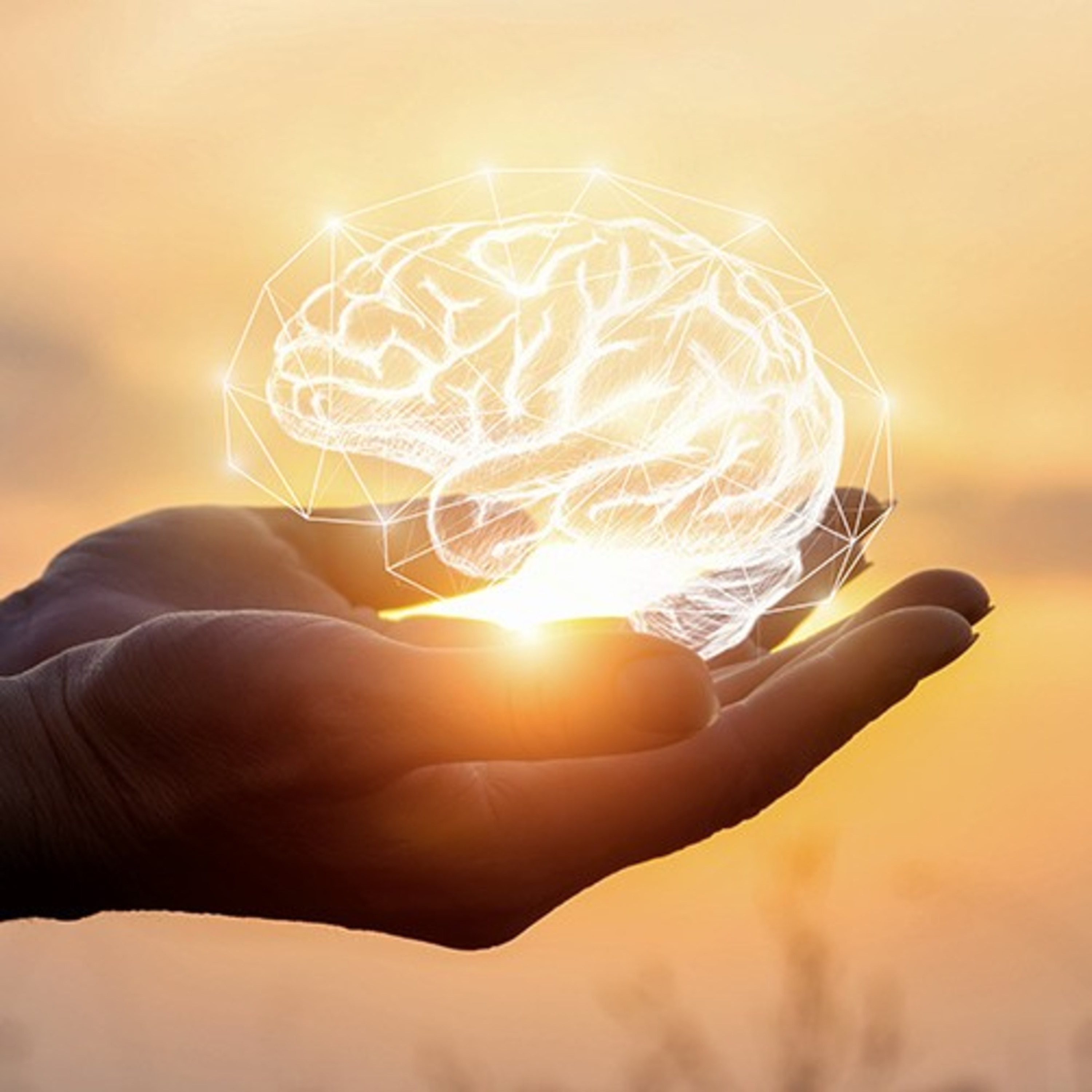 The Mindbliss Podcast