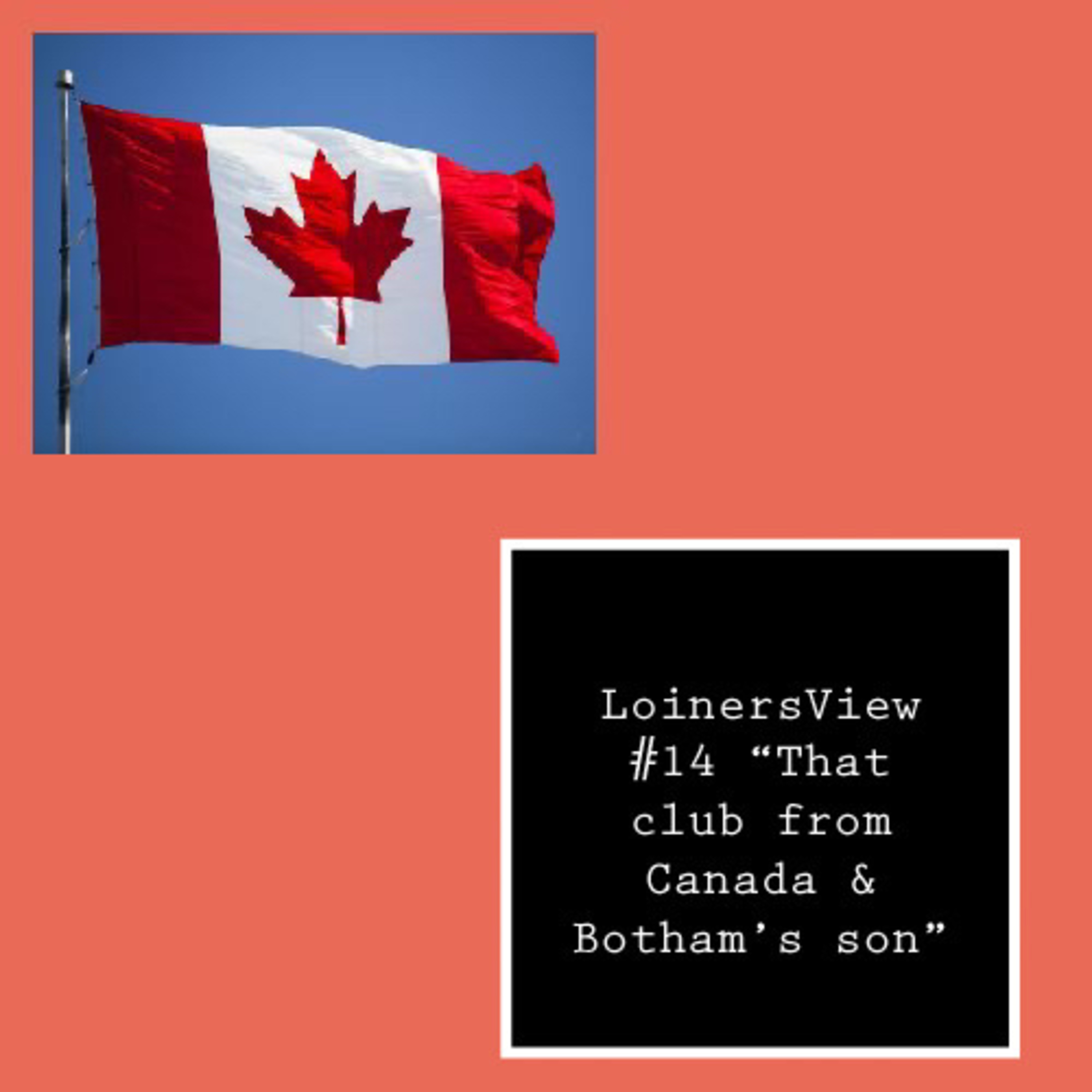 Loiners View