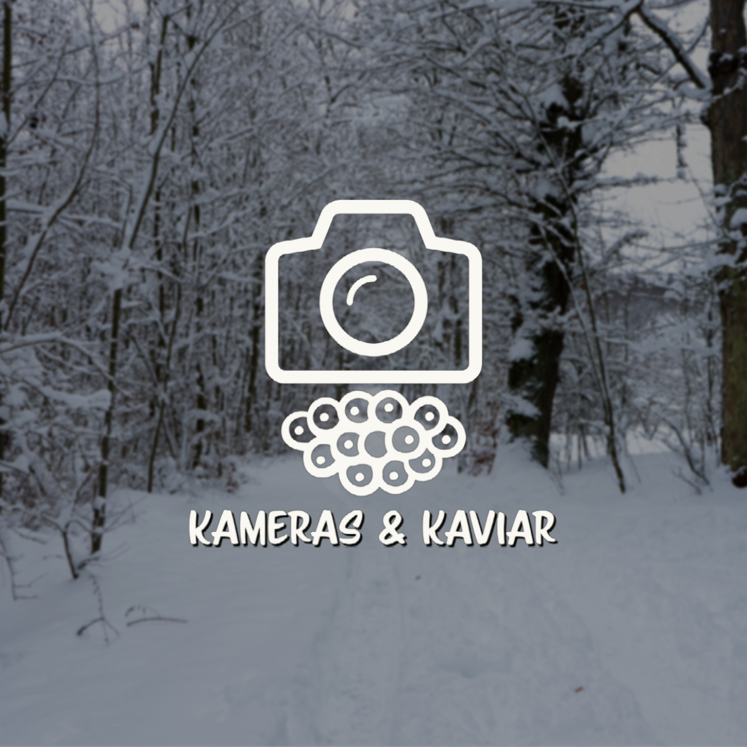 Kameras & Kaviar I Fotografie & Selbstständigkeit I Kreative Arbeit