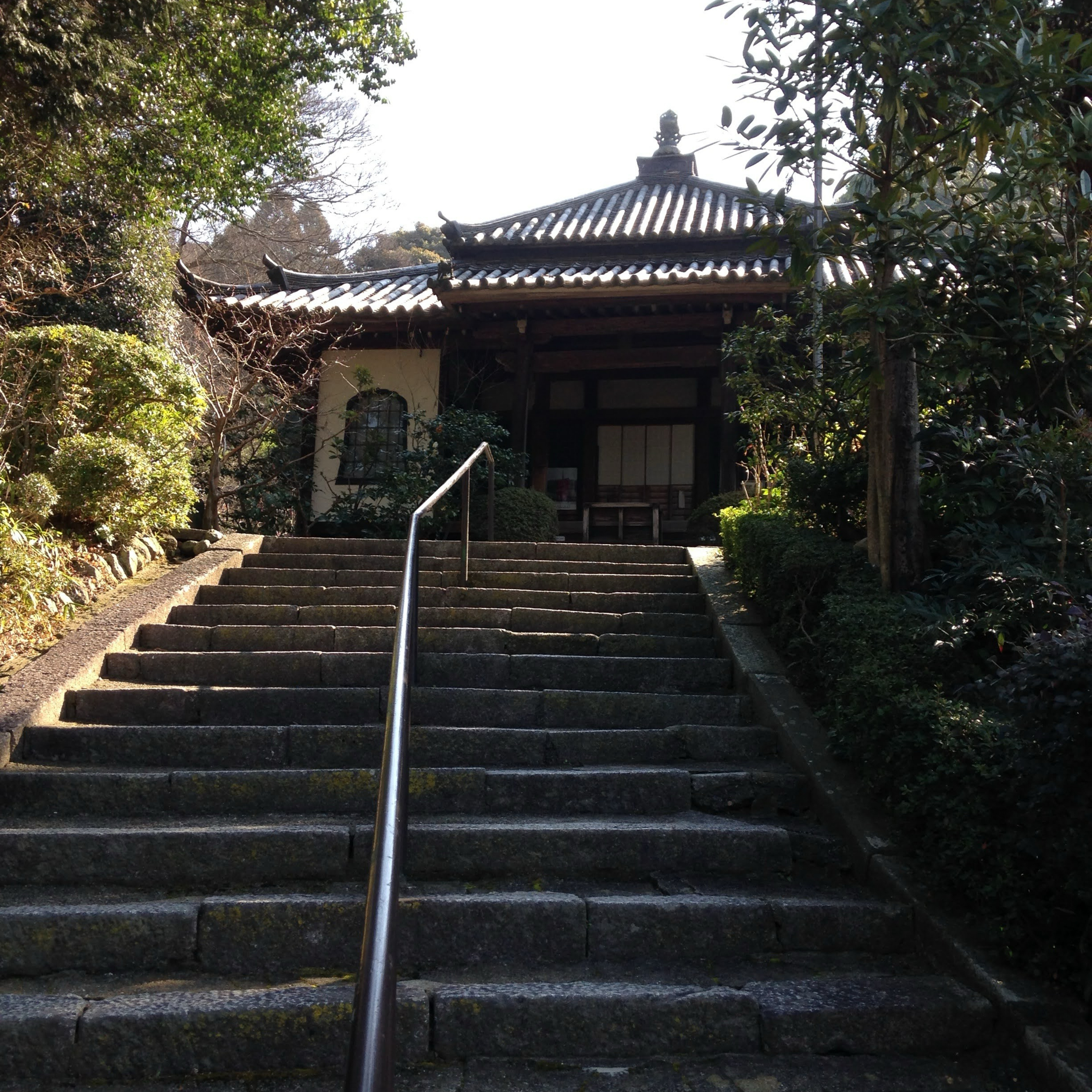 念仏の父　法然聖人