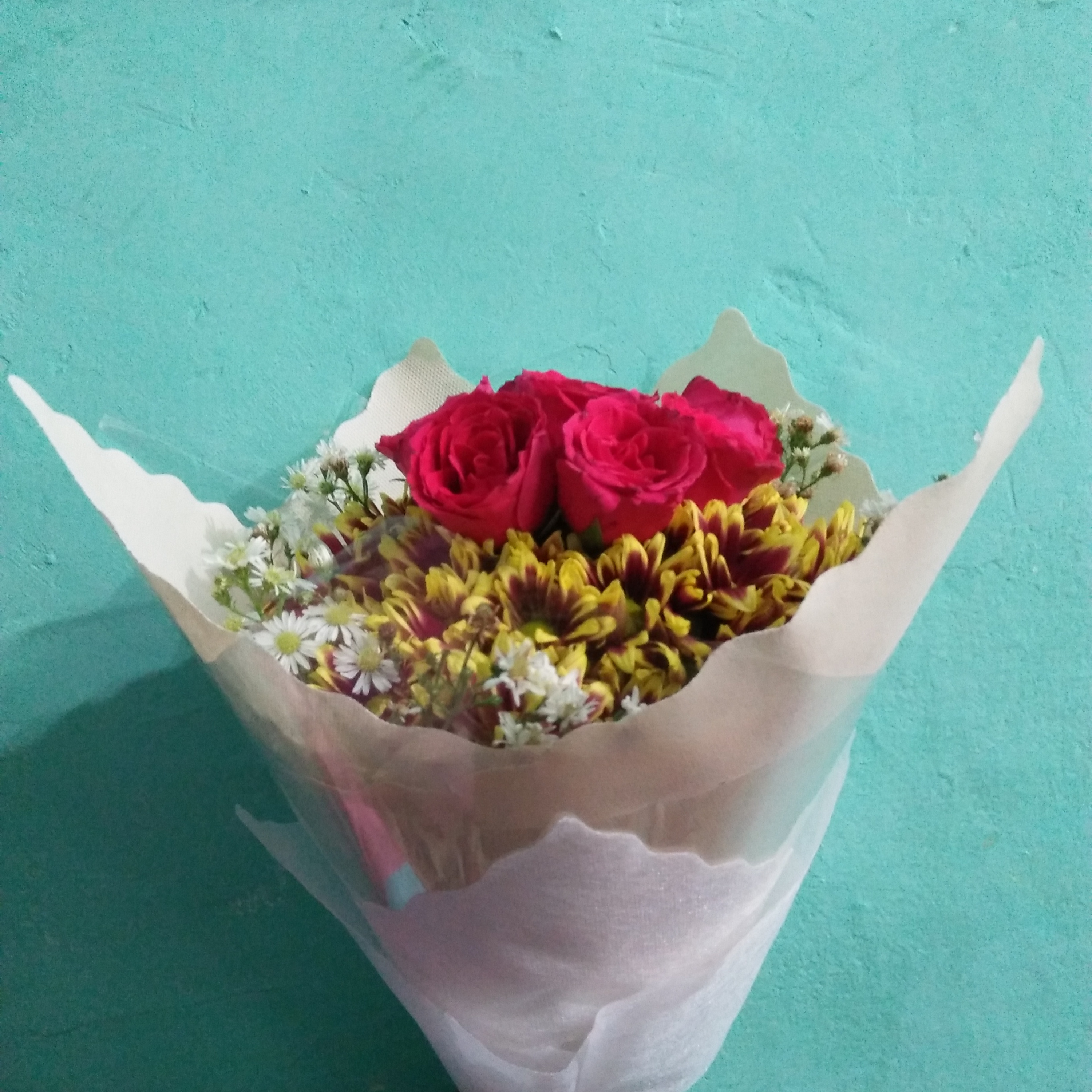 Suara Monica