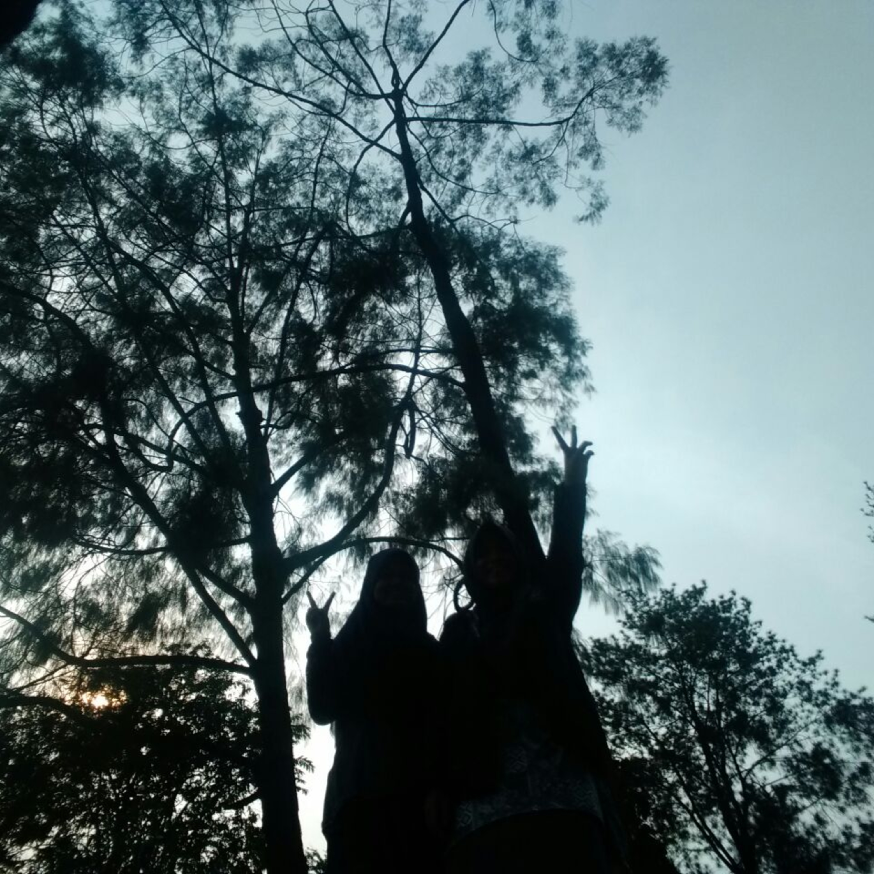 Suara Monica