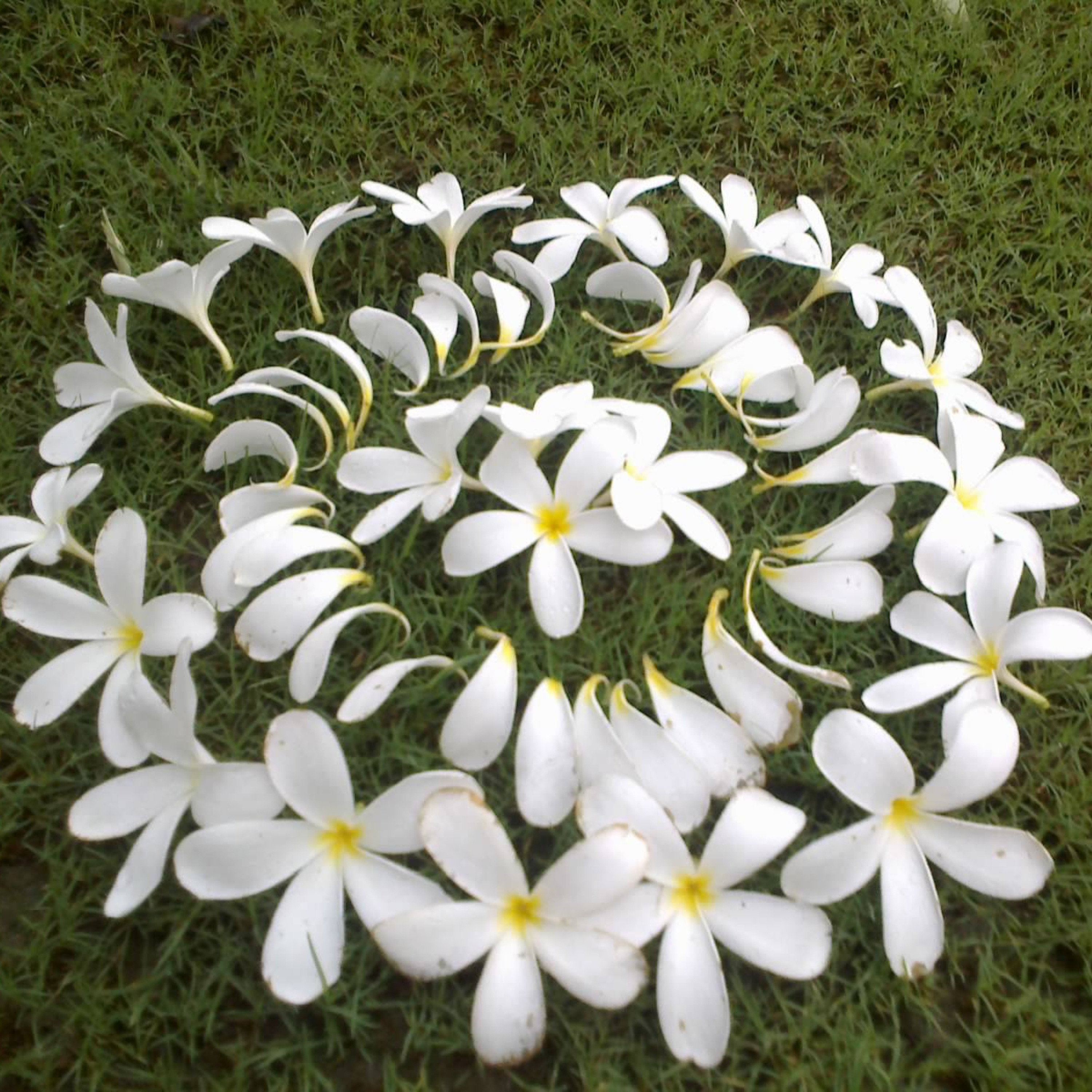 Syahdeepti Hindi Poetry Blog!