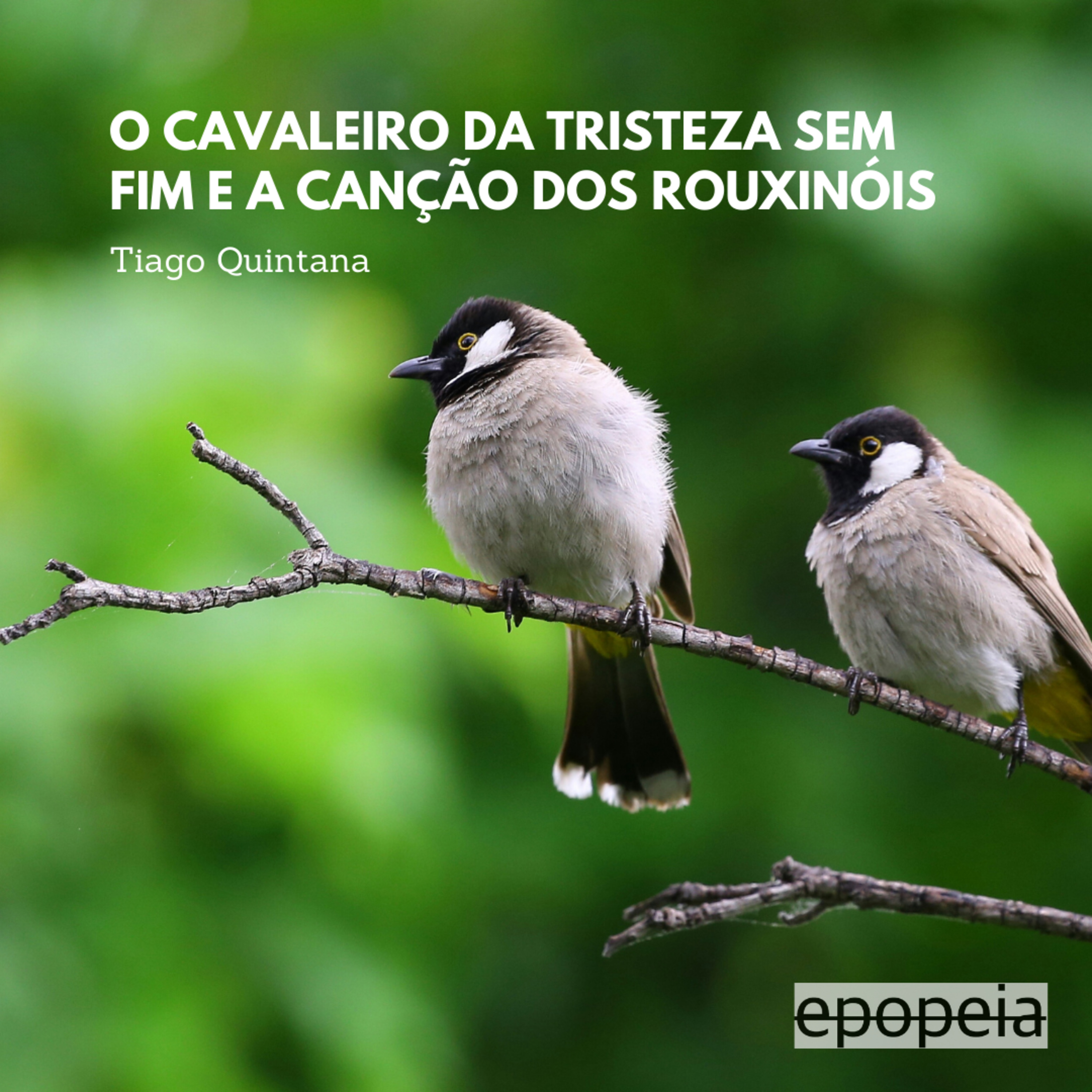 Epopeia - Histórias Curtas