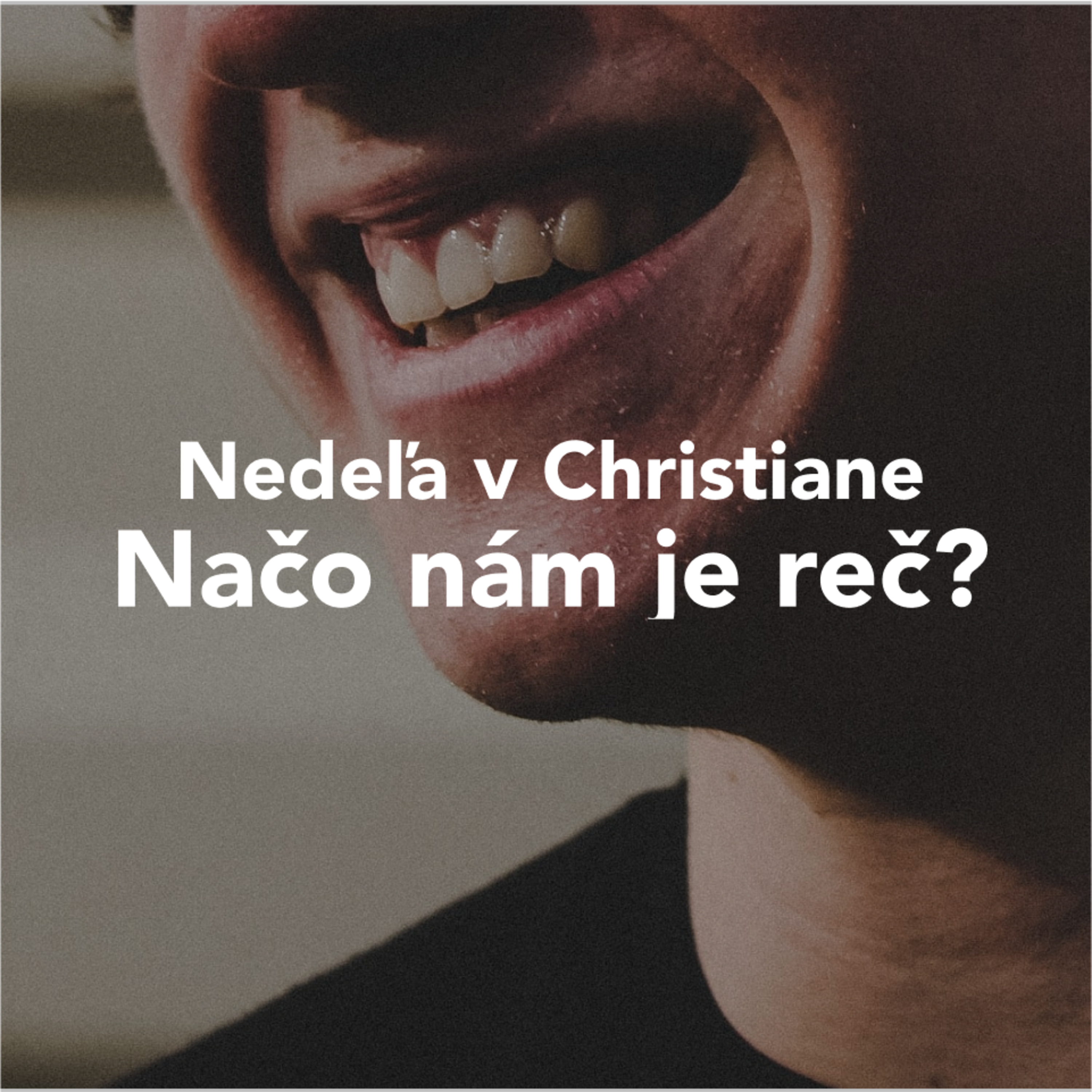 Nedeľa v Christiane - Načo je nám reč? - Braňo Schmogrovits episode artwork