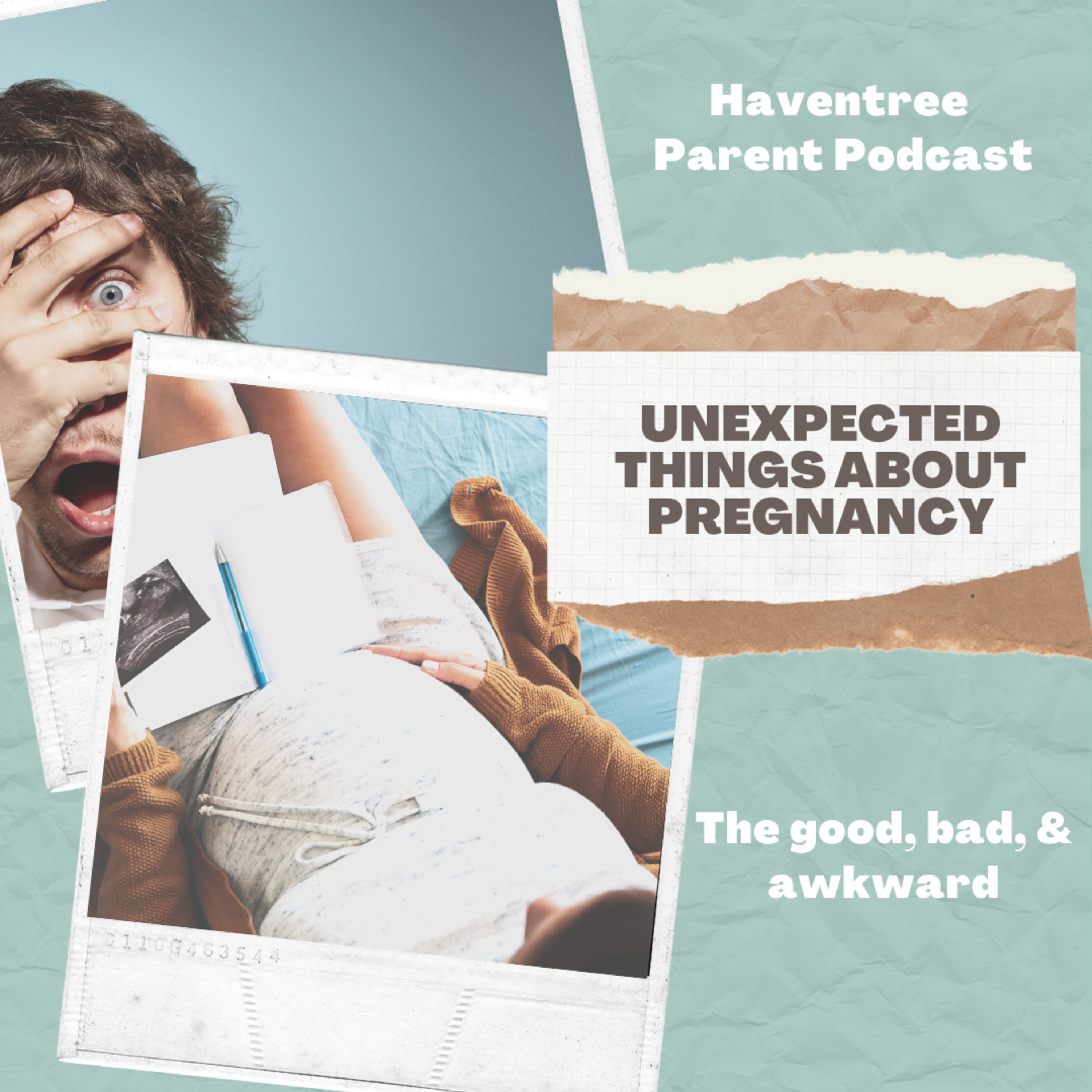 Haventree Parent Podcast