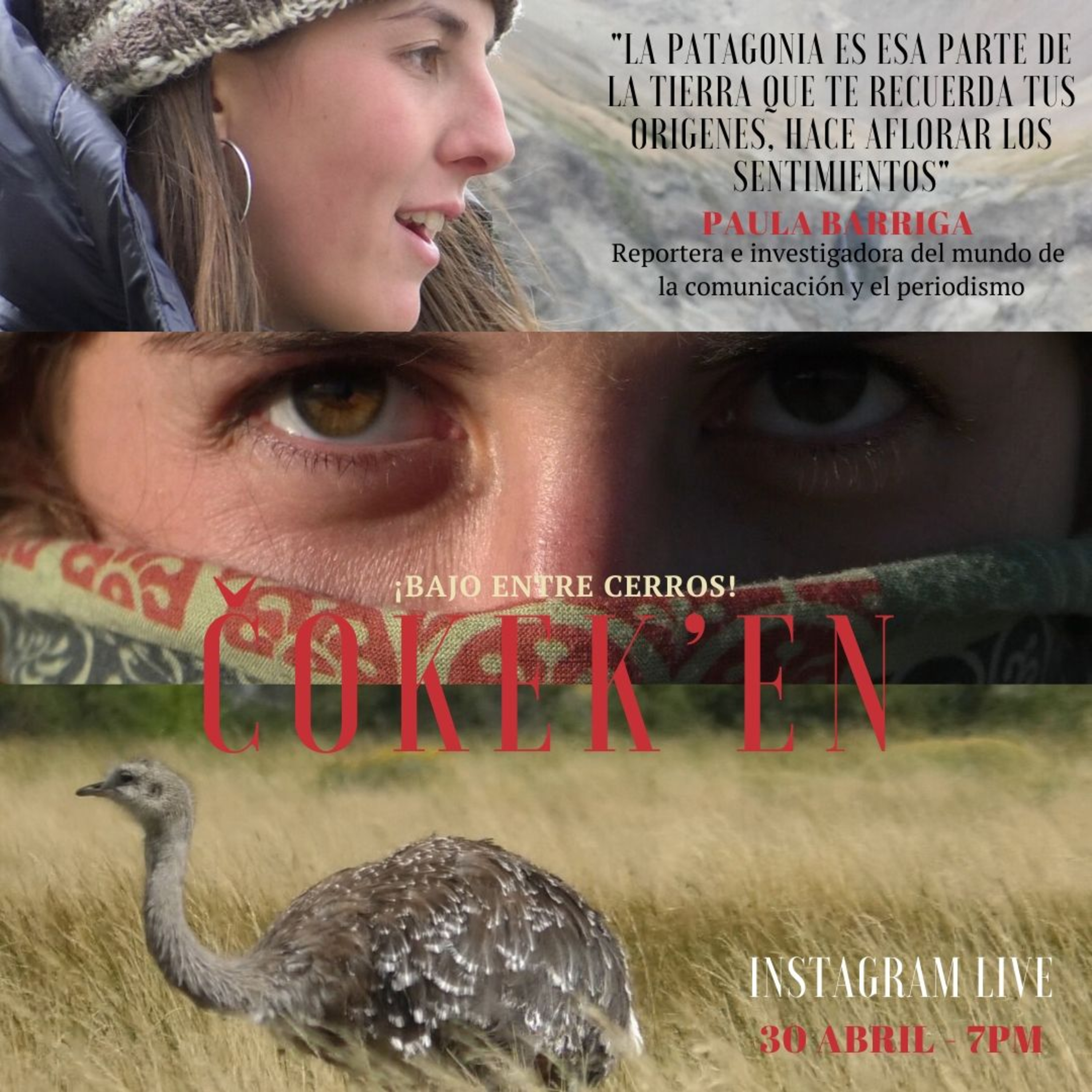 Čokek’en episode artwork