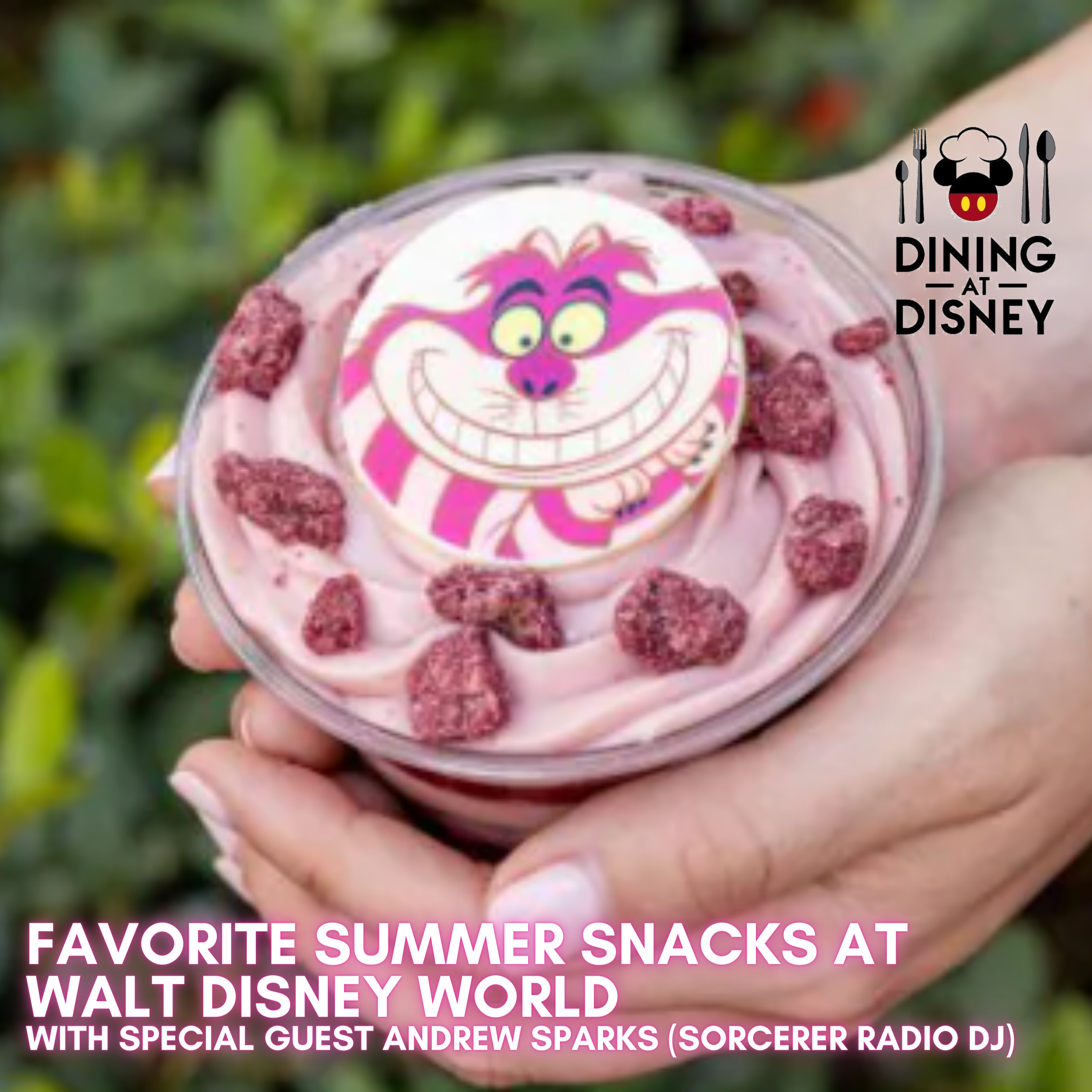 Favorite Summer Snacks at Walt Disney World with Andrew Sparks (Sorcerer Radio DJ)