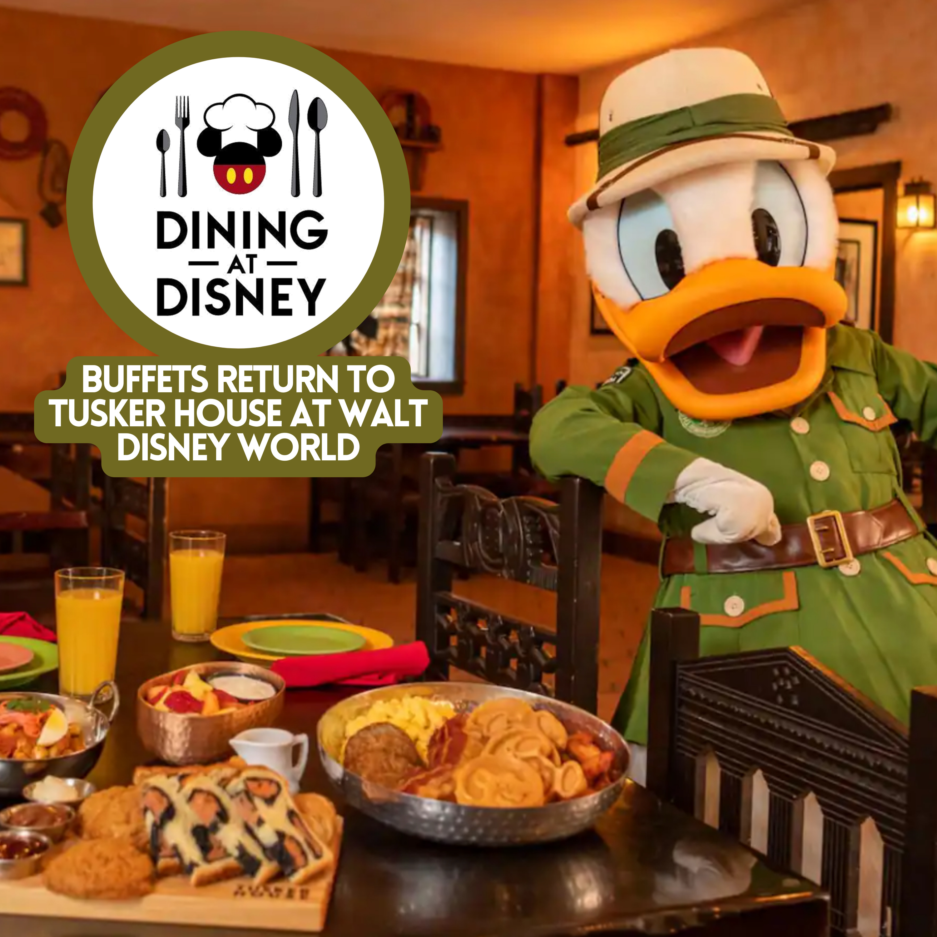 Buffets return to Tusker House at Walt Disney World