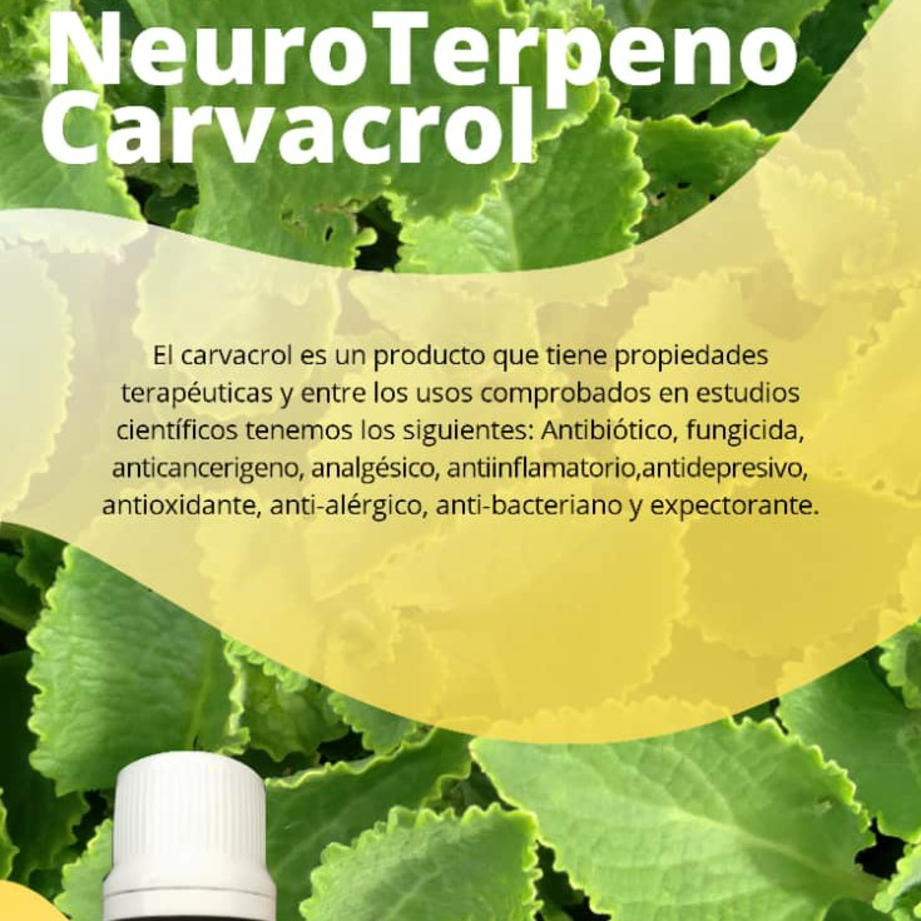 Medicina Natural Por Juan Velez