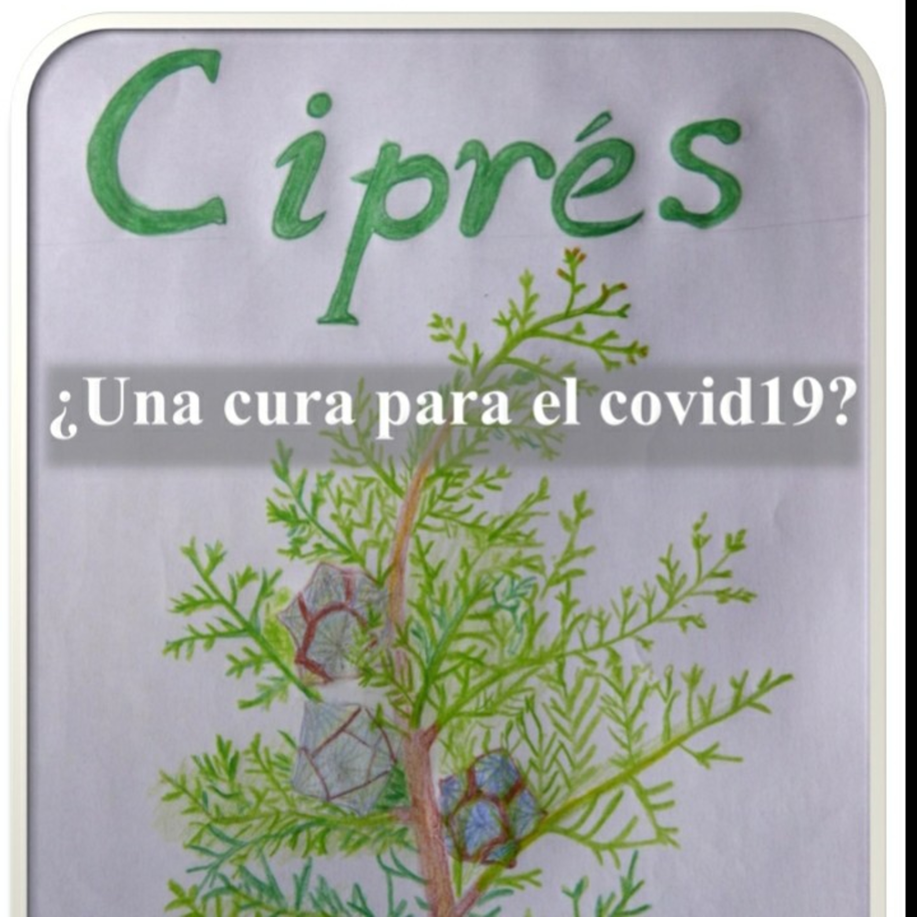 Medicina Natural Por Juan Velez