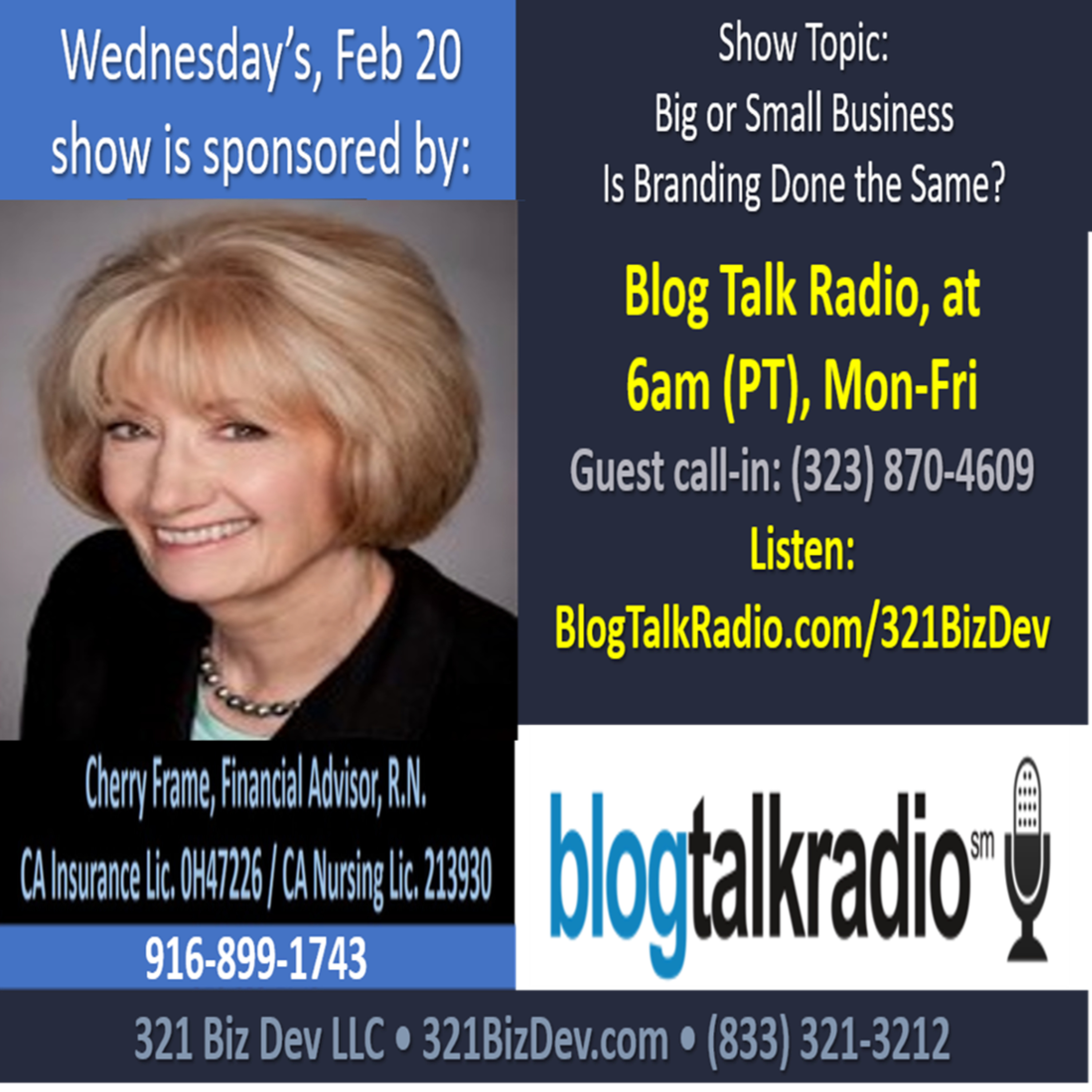 Big or Small Business: Are Branding Activities and Results The Same episode artwork