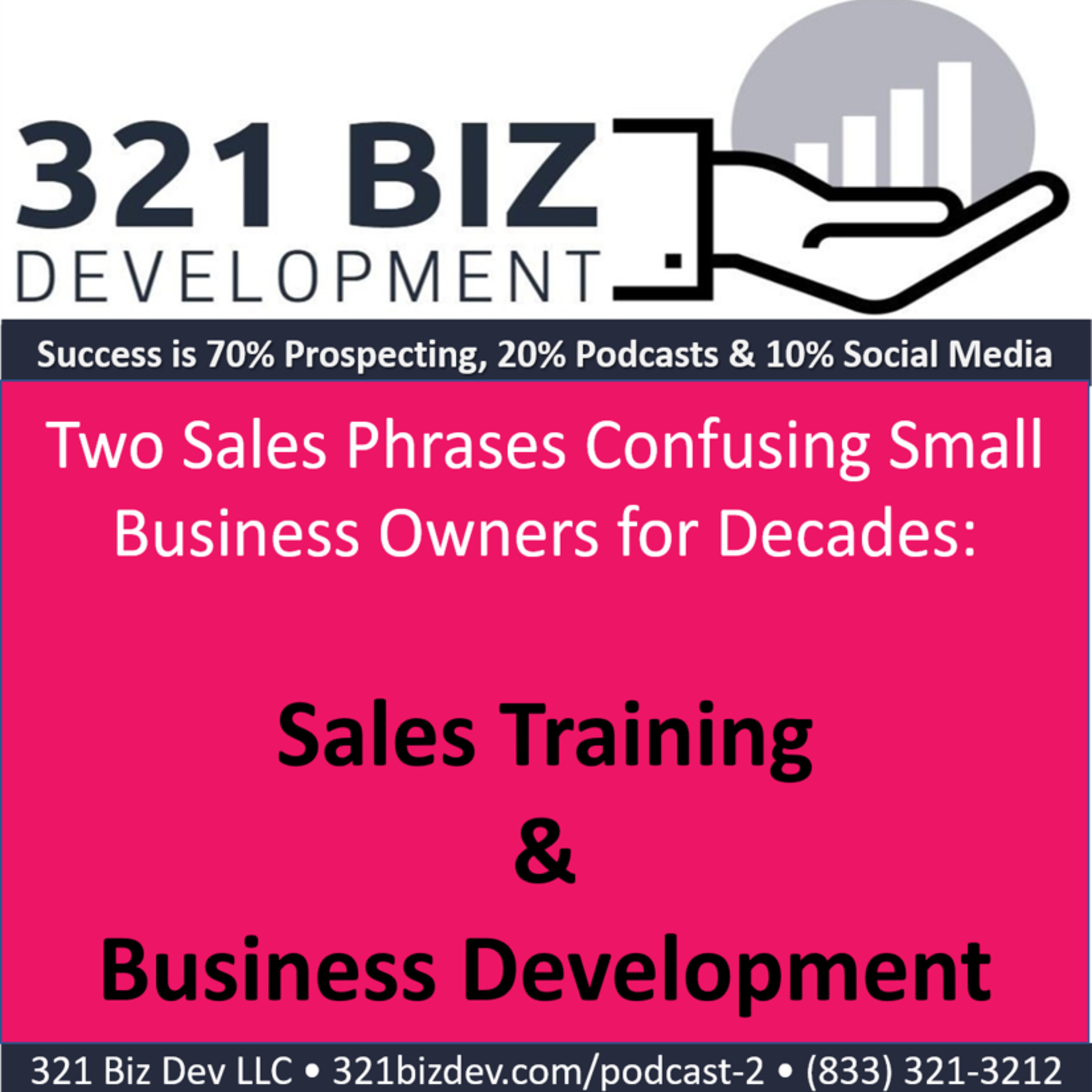 Two Important Sales Phrases to Understand: Sales Training and Business Development episode artwork