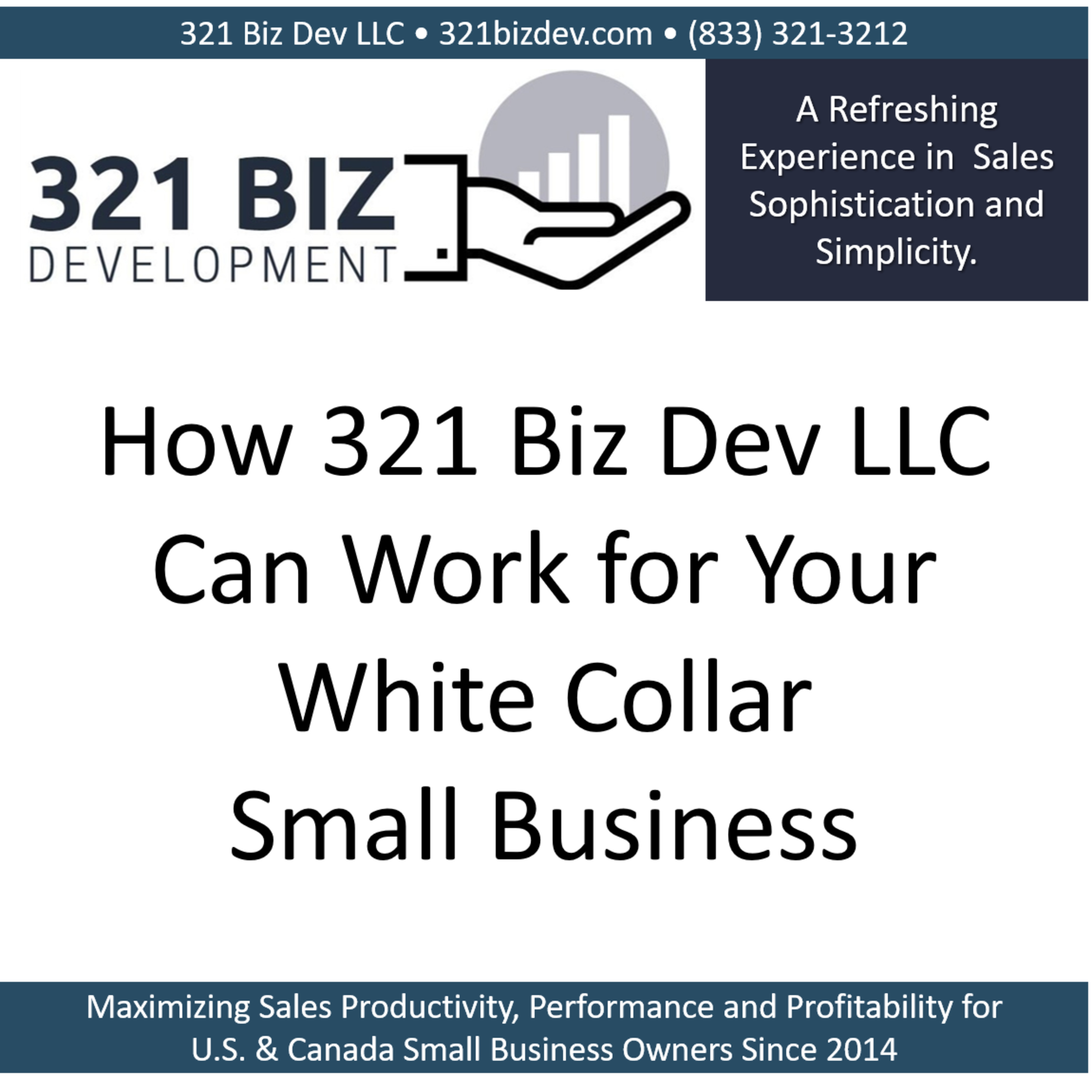 How White Collar Small Business Owners and 321 Biz Dev LLC Can Work Together episode artwork