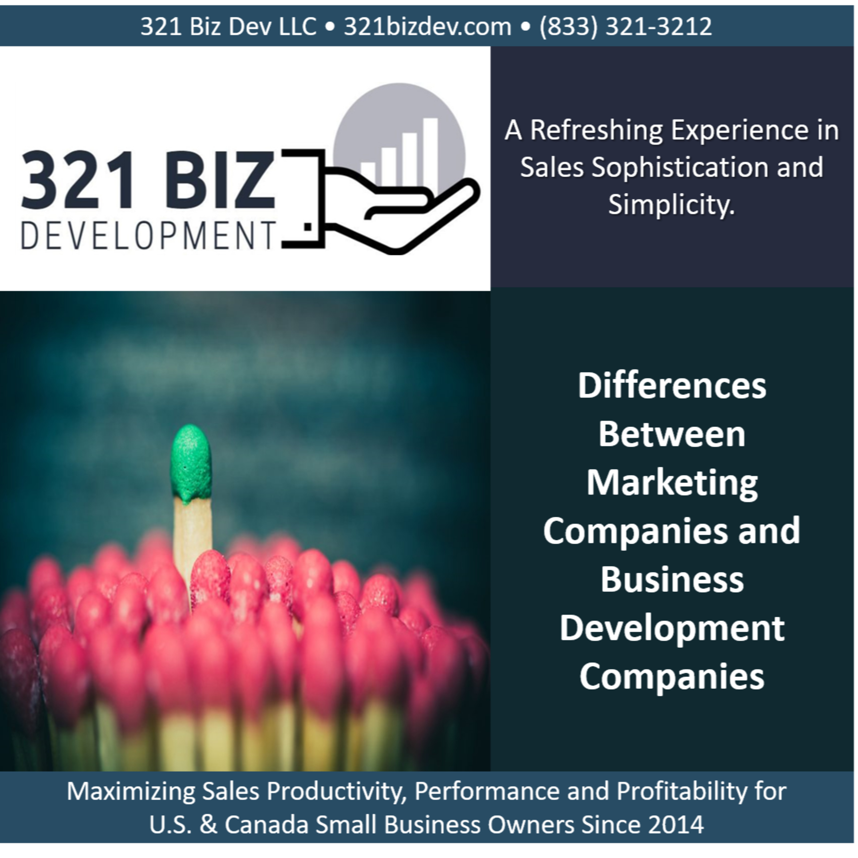 Major Differences Between Marketing Companies and Business Development Companies episode artwork