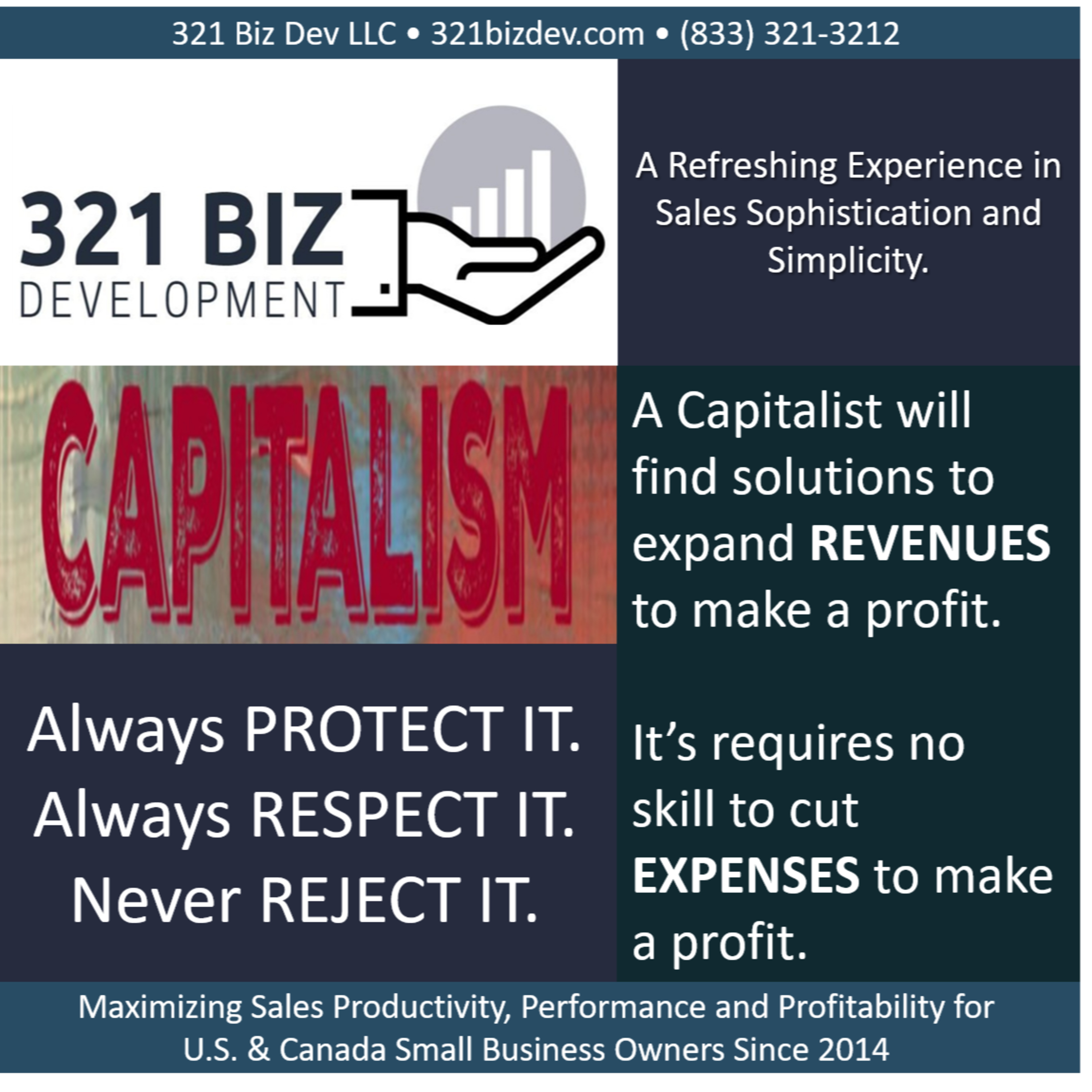 Capitalist White-Collar Small Business Owners Increase Sales Revenues Instead of Cutting Expenses episode artwork