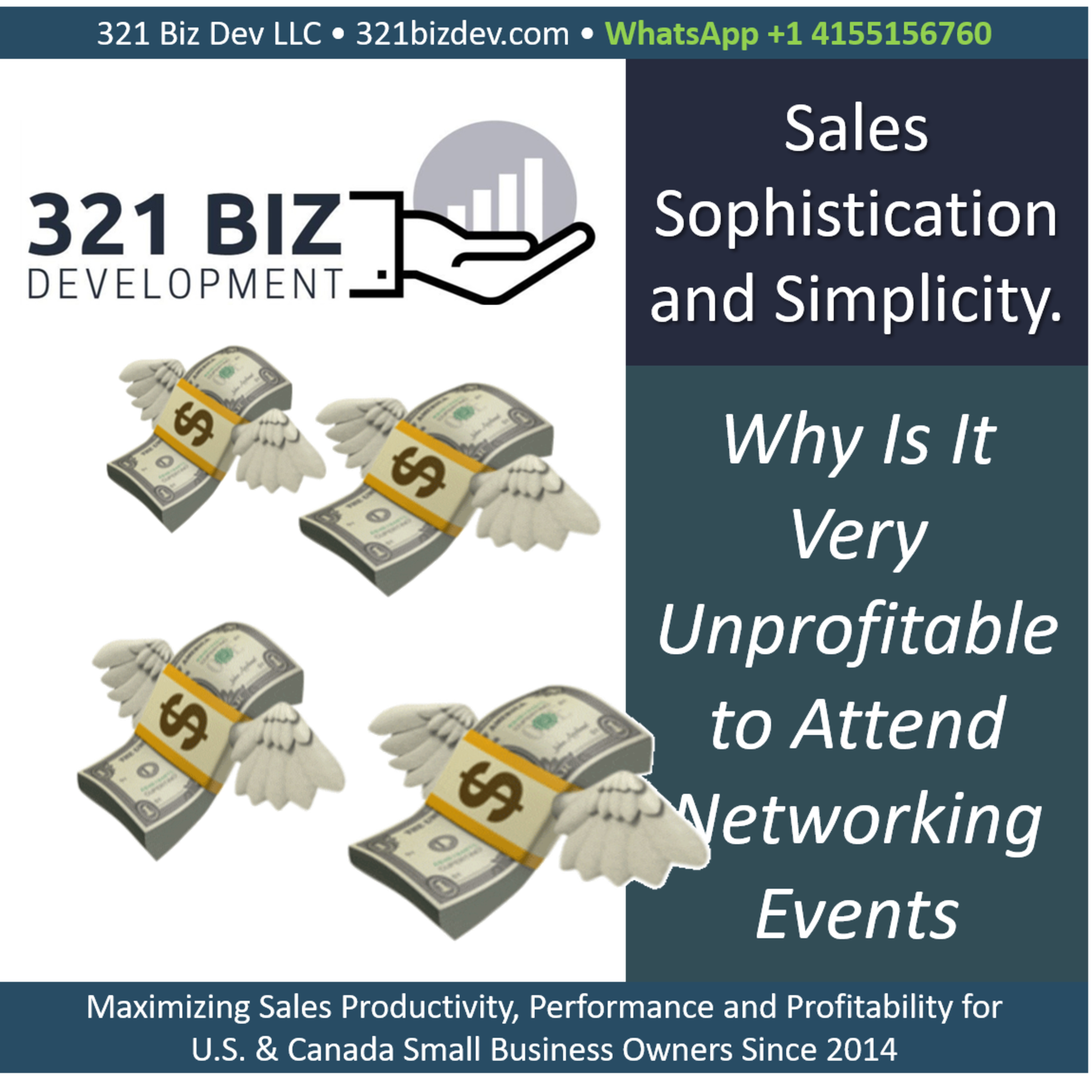 Why It is Unprofitable for White-Collar Business Owners to Attend Networking Events episode artwork