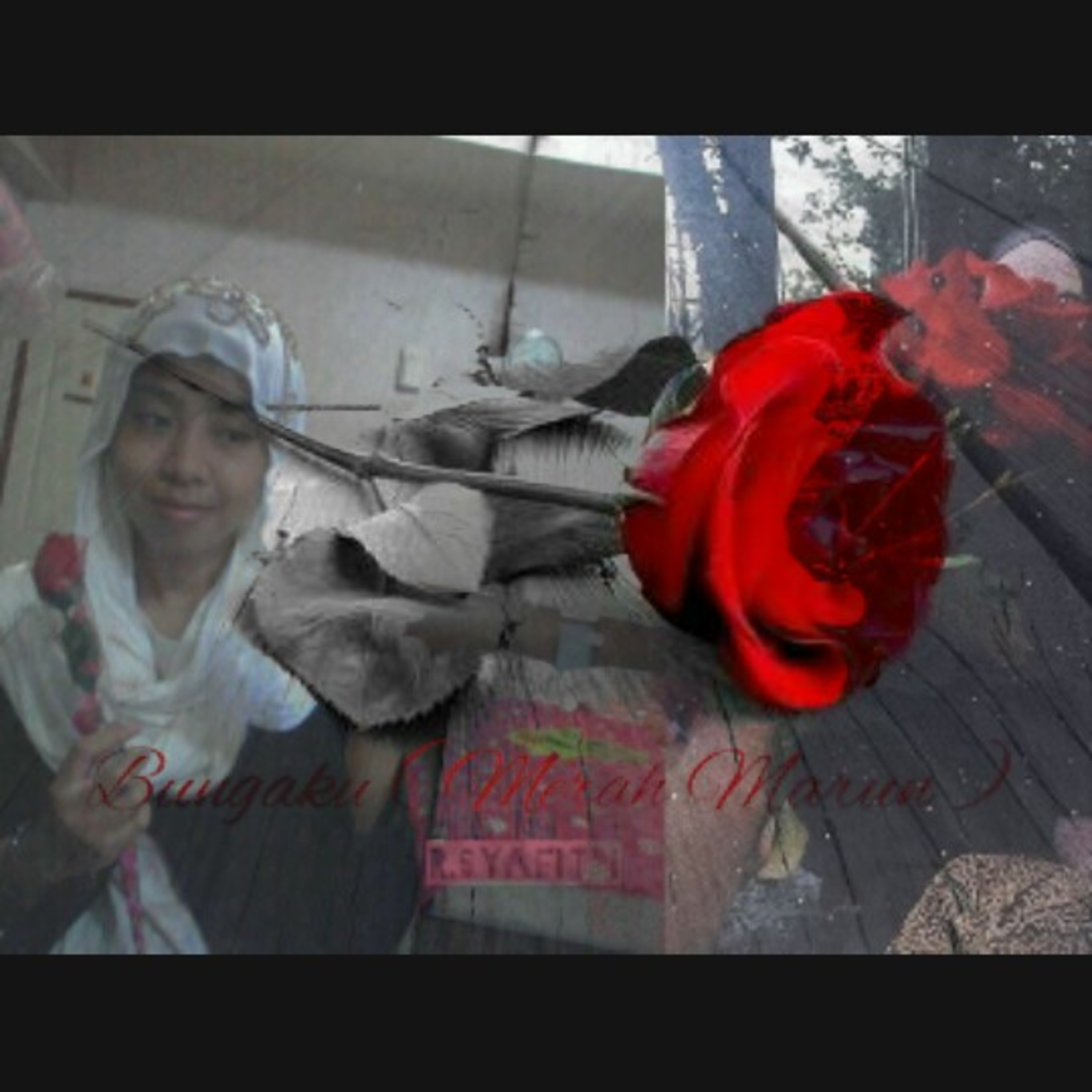 Cinta - Rosh Vitria ( CRV )