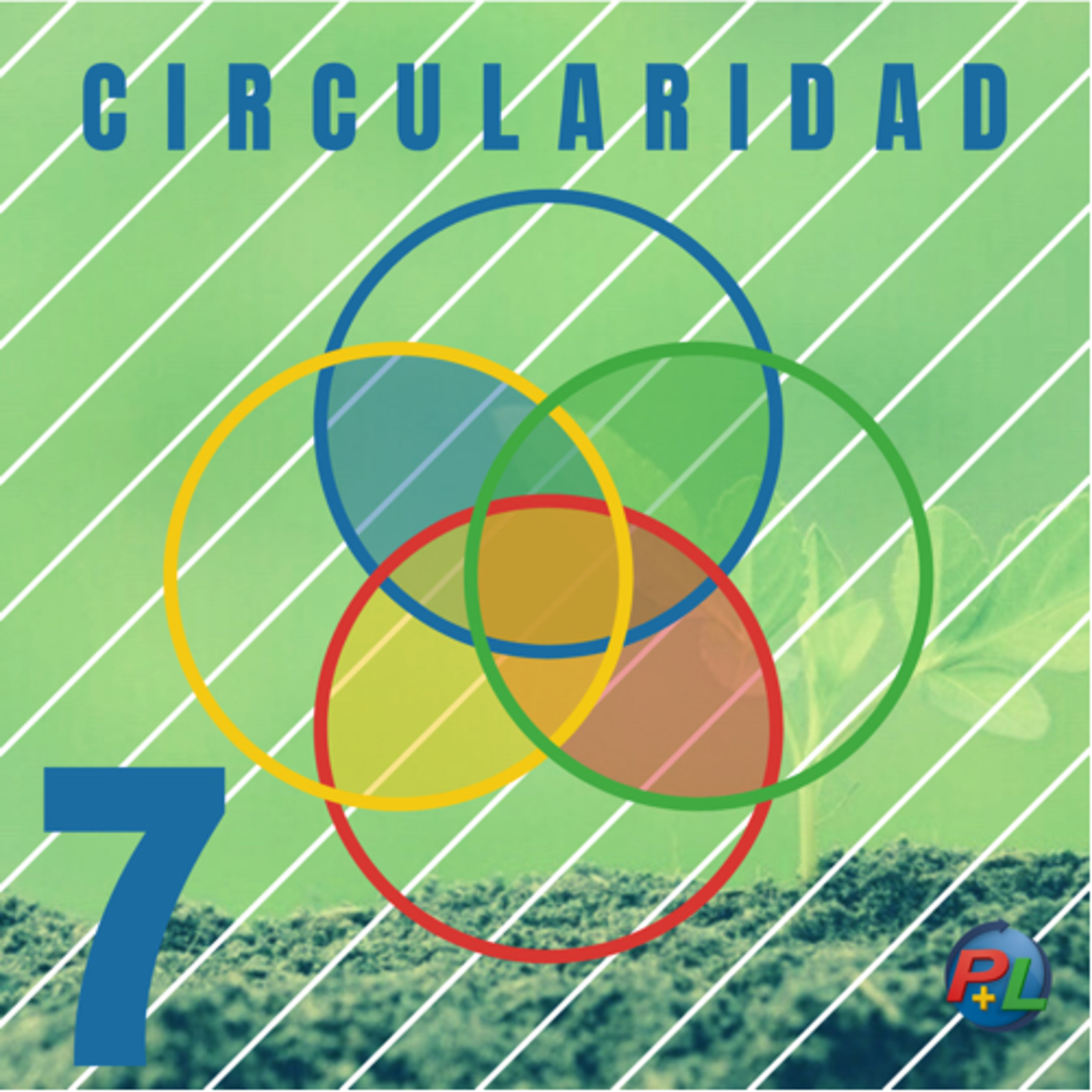 Circularidad