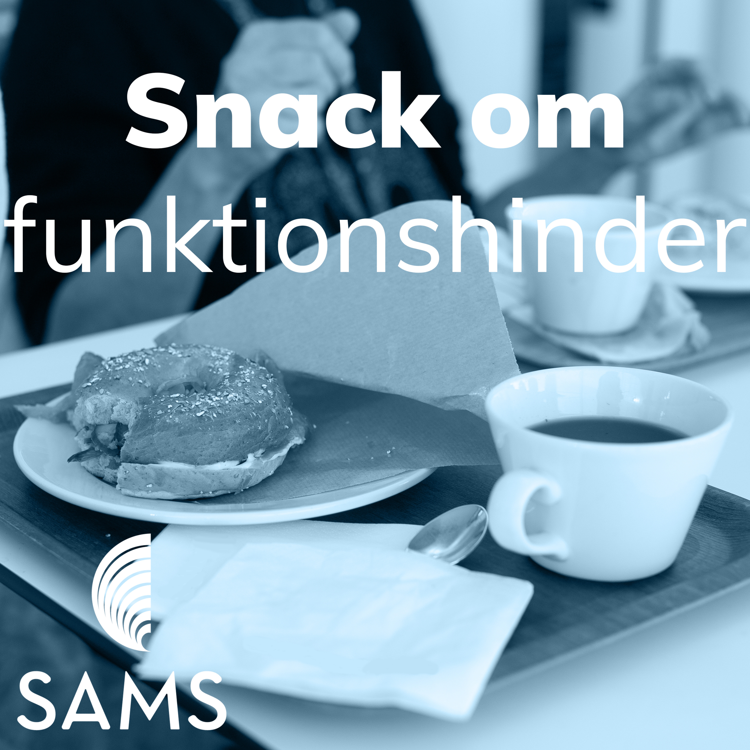 Snack om funktionshinder