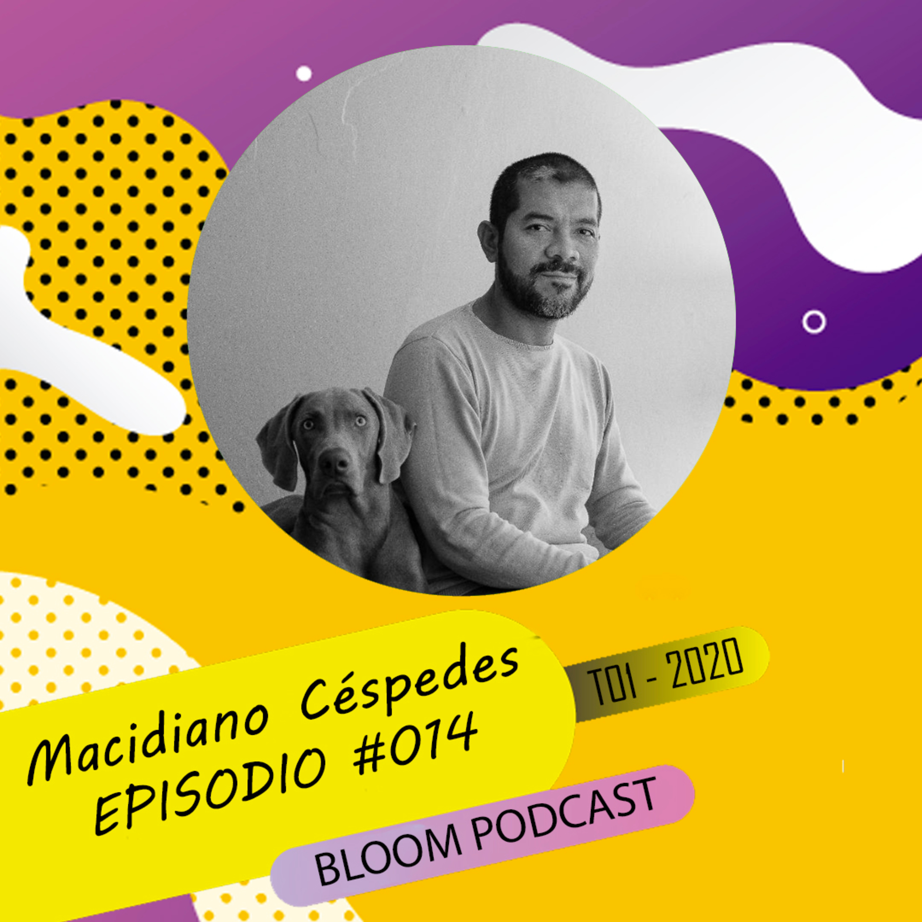Bloom Podcast