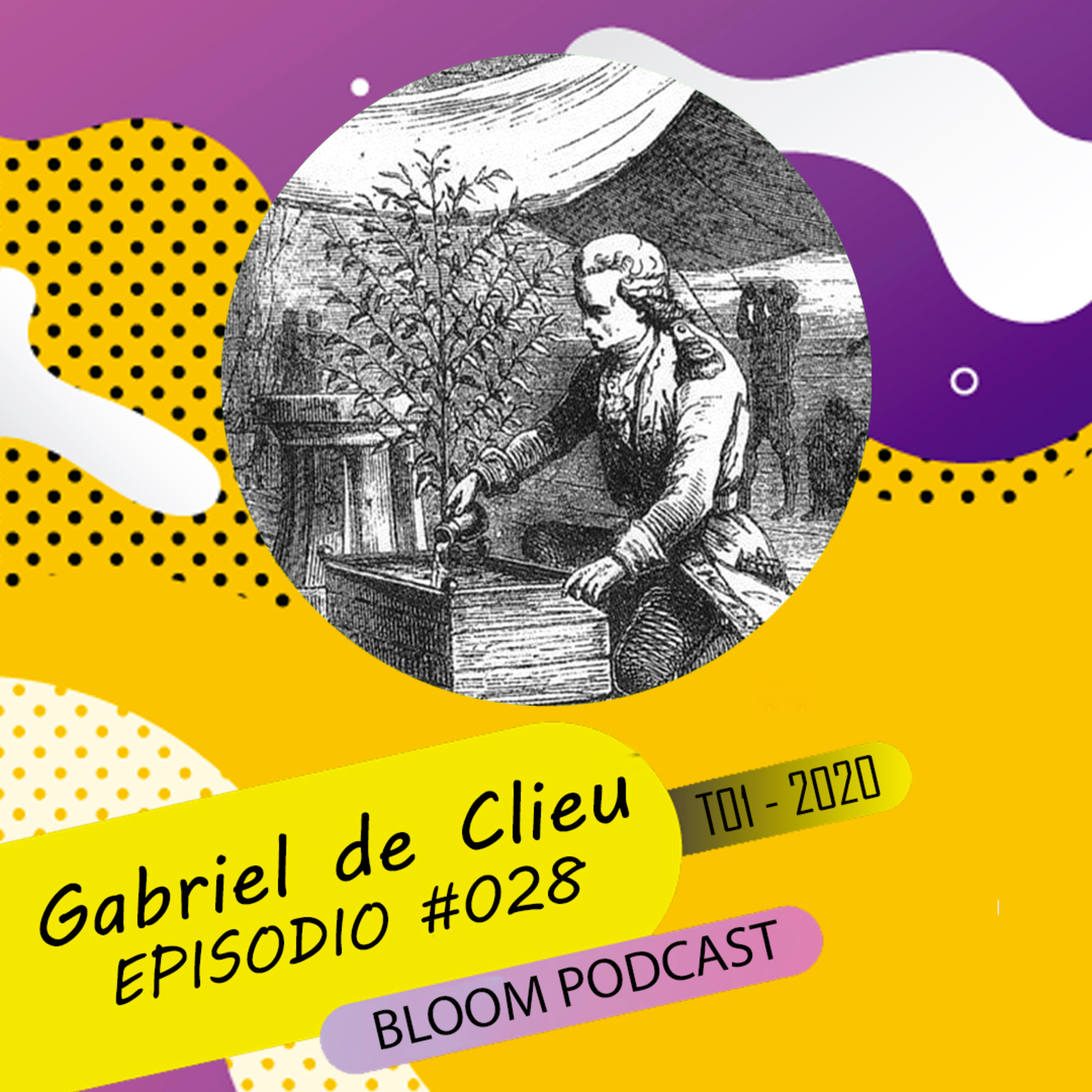 Bloom Podcast