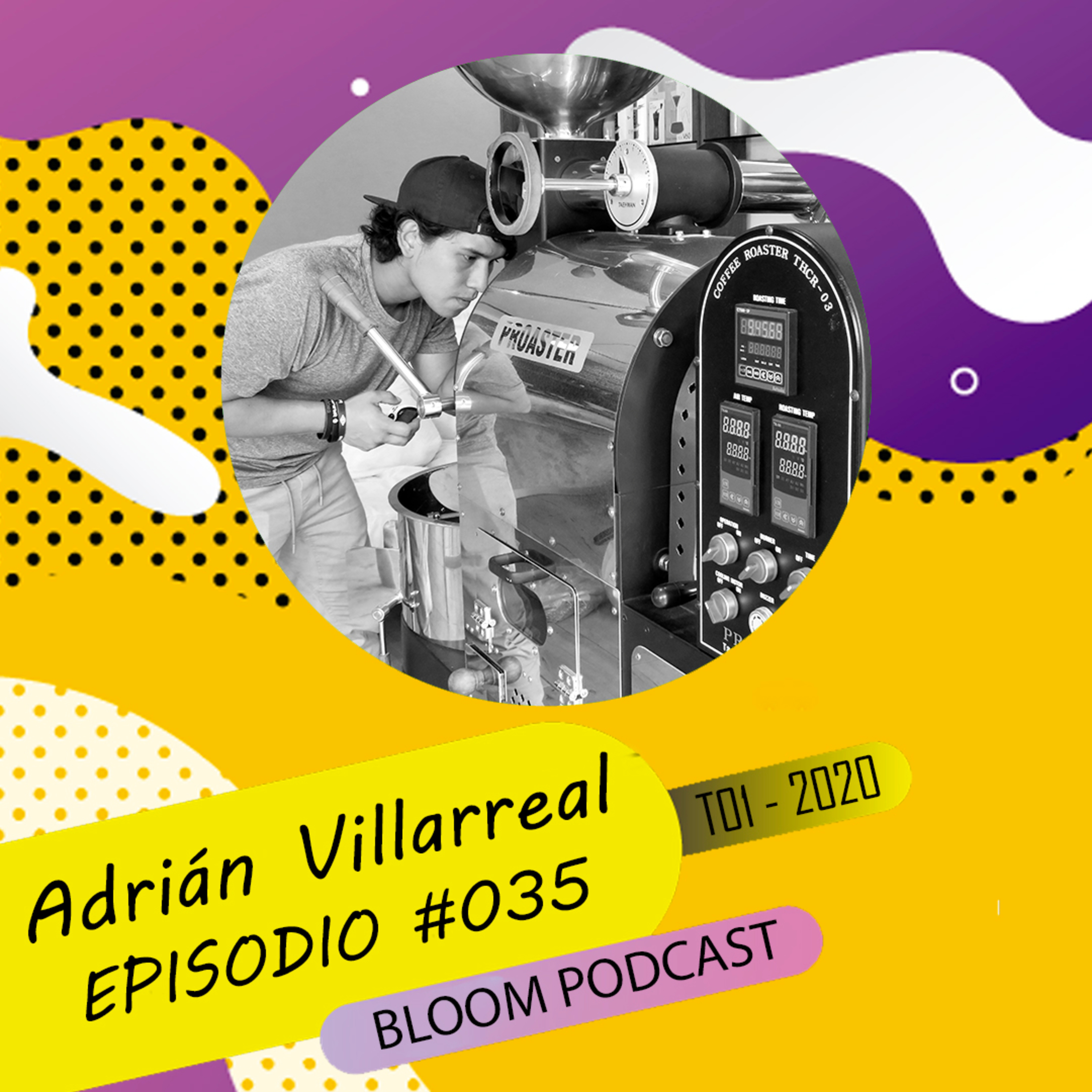 Bloom Podcast
