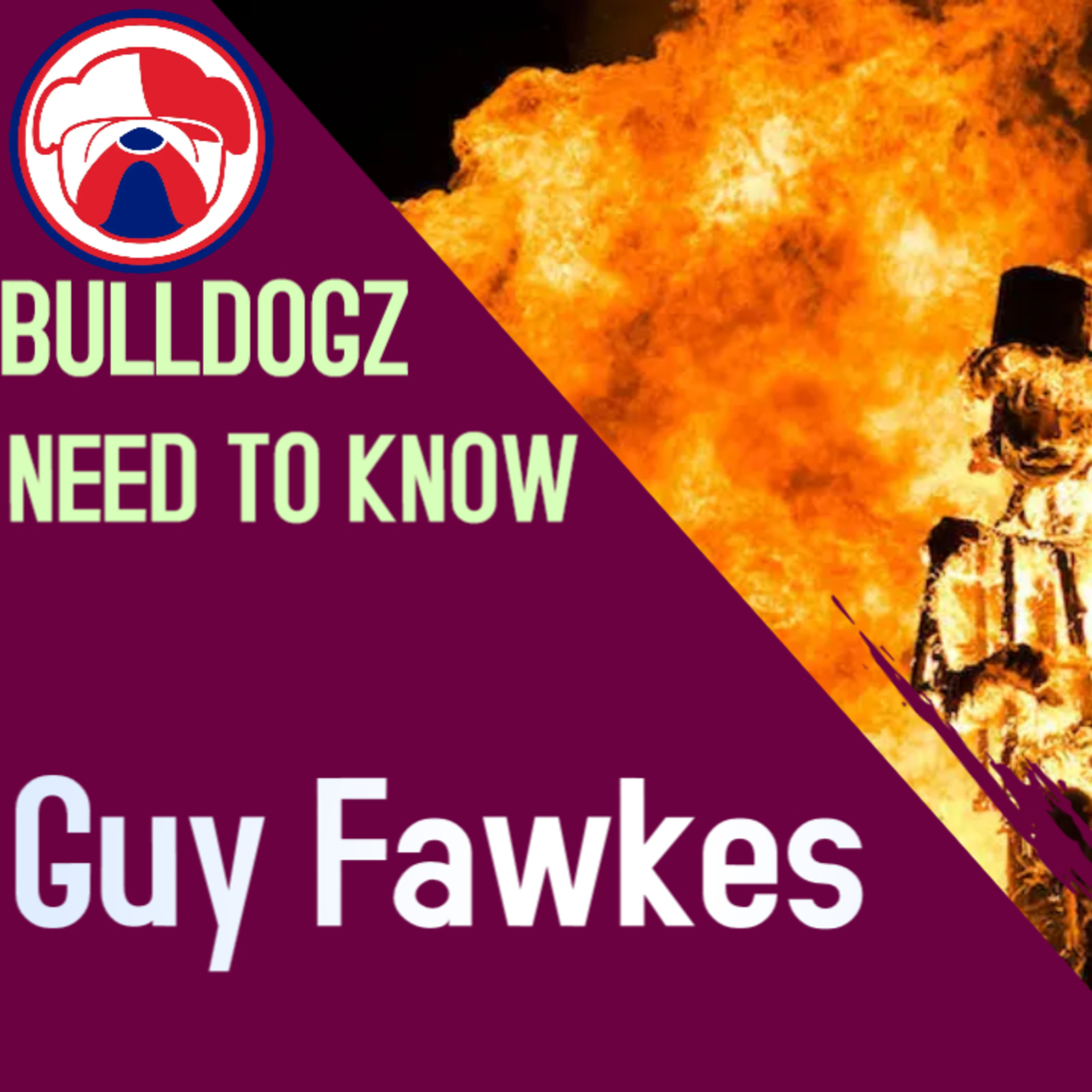 Need to know Guy Fawkes and the gunpowder plot