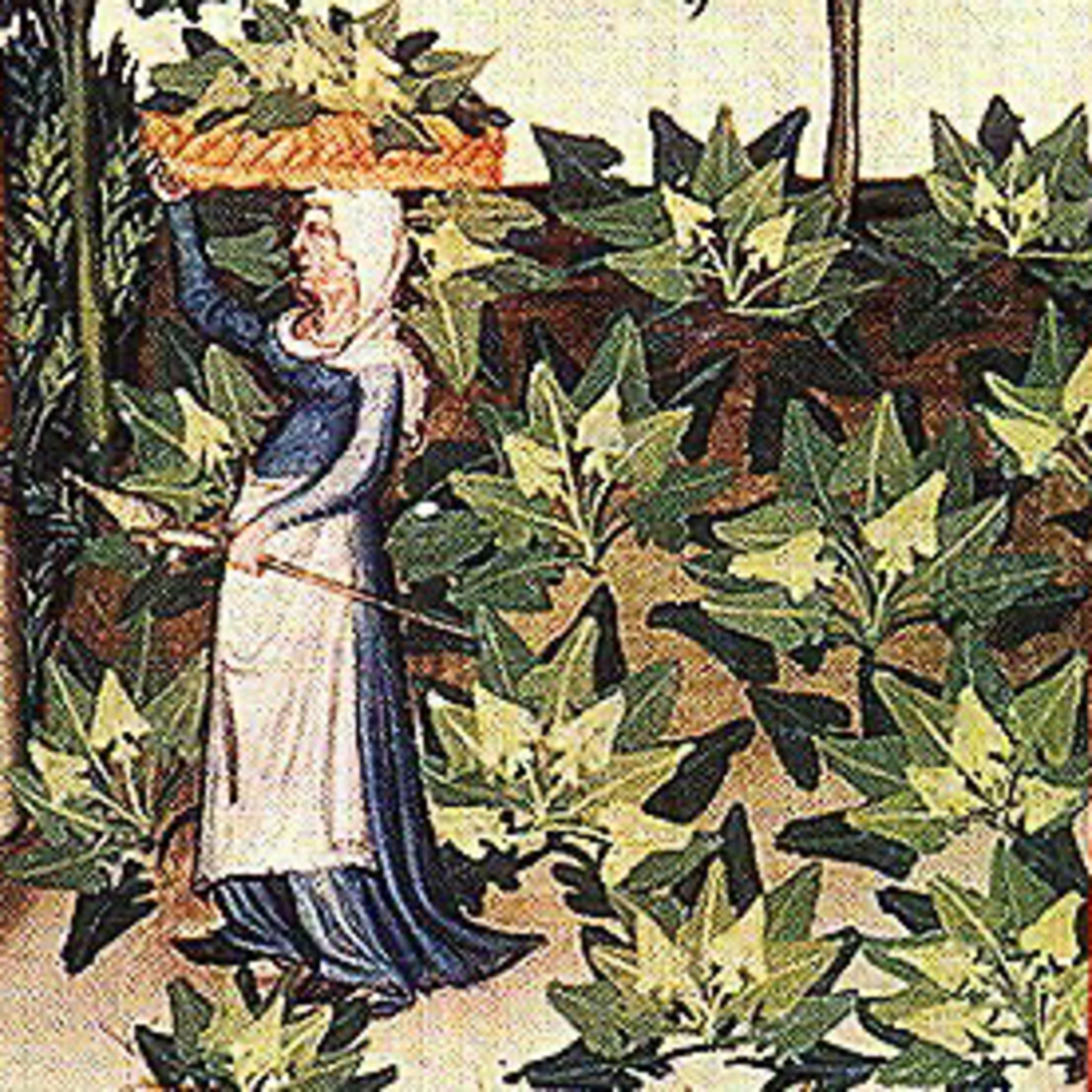 Plantenverhalen