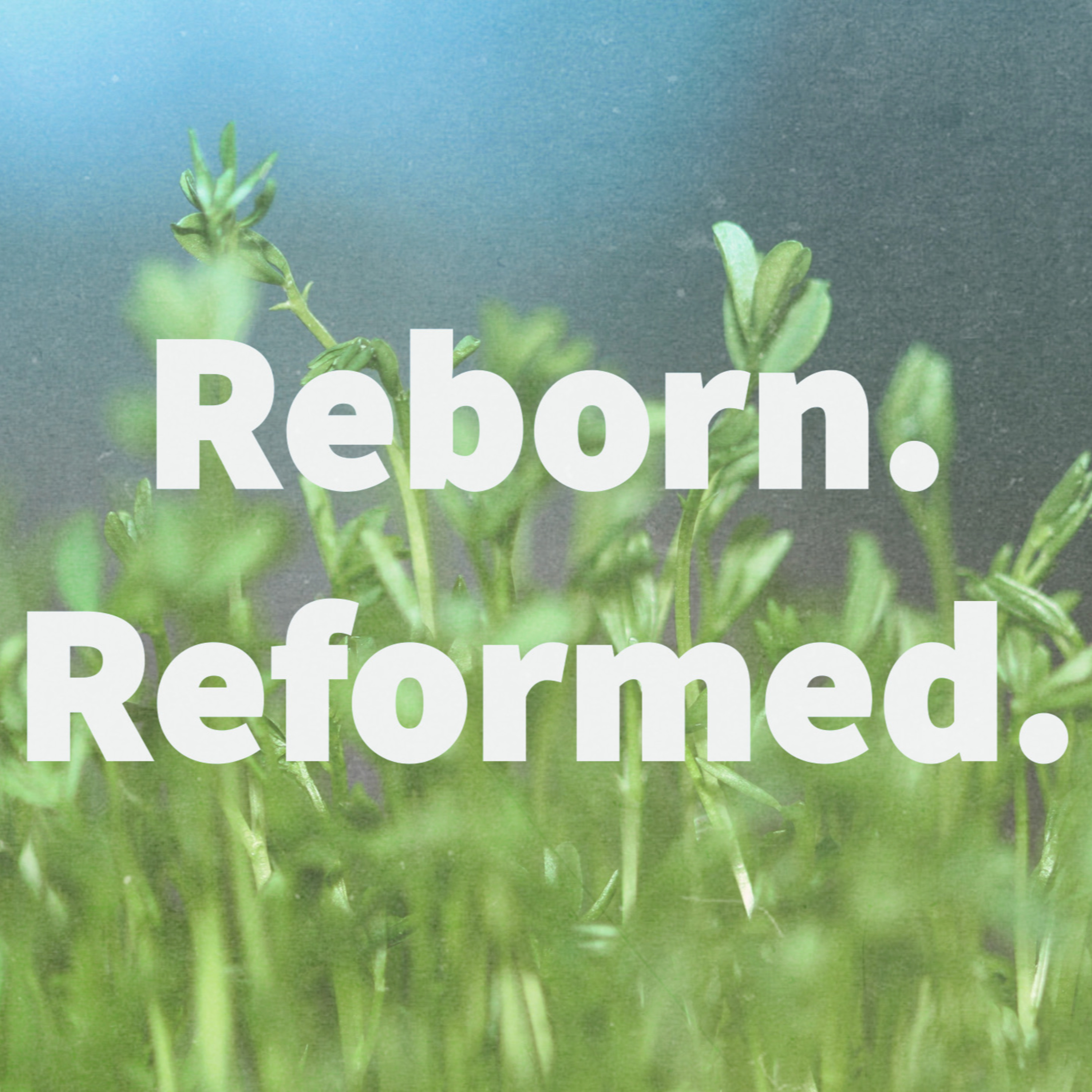 Reborn. Reformed. (Nathanael Pritt)