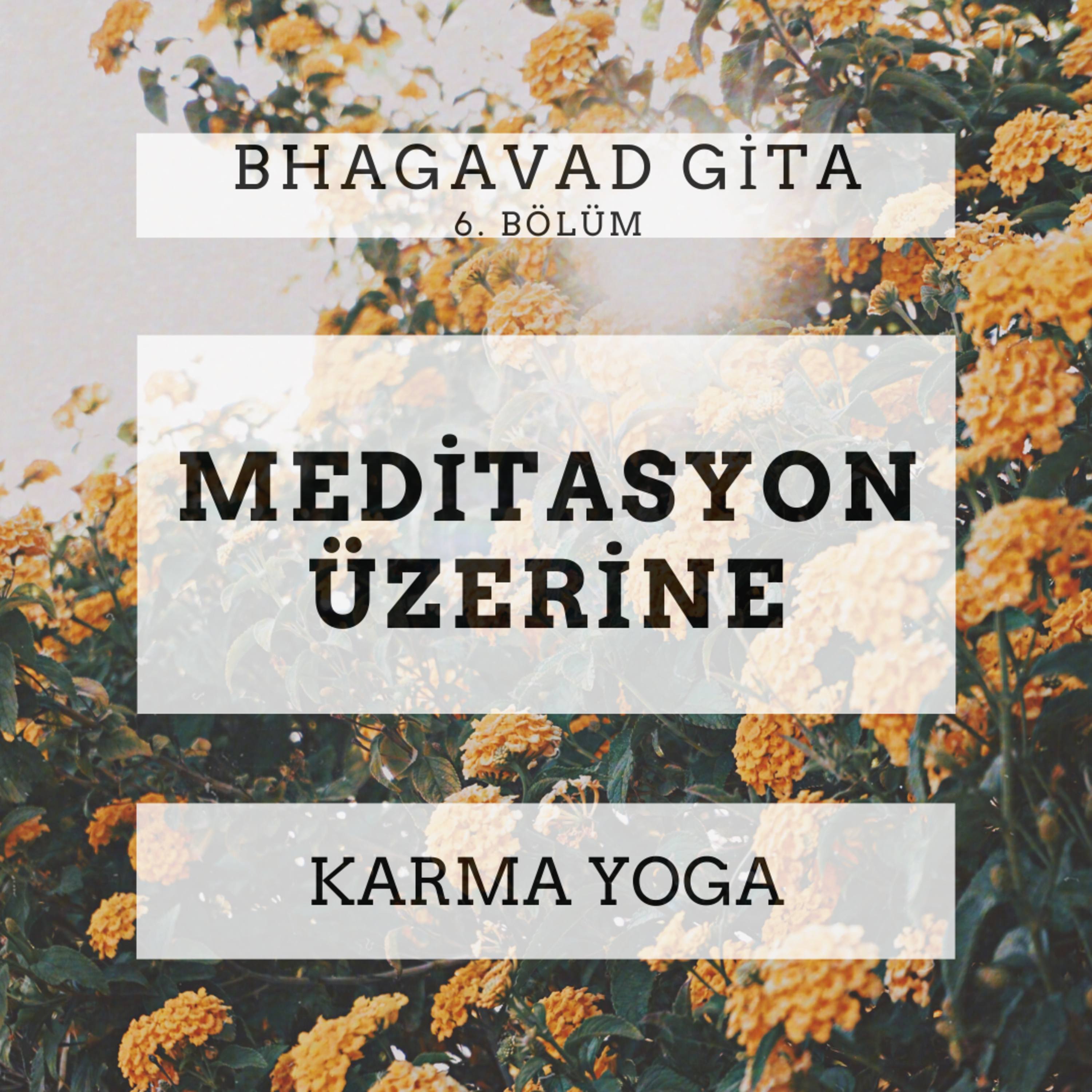 Damla Dönmez ile Yoga