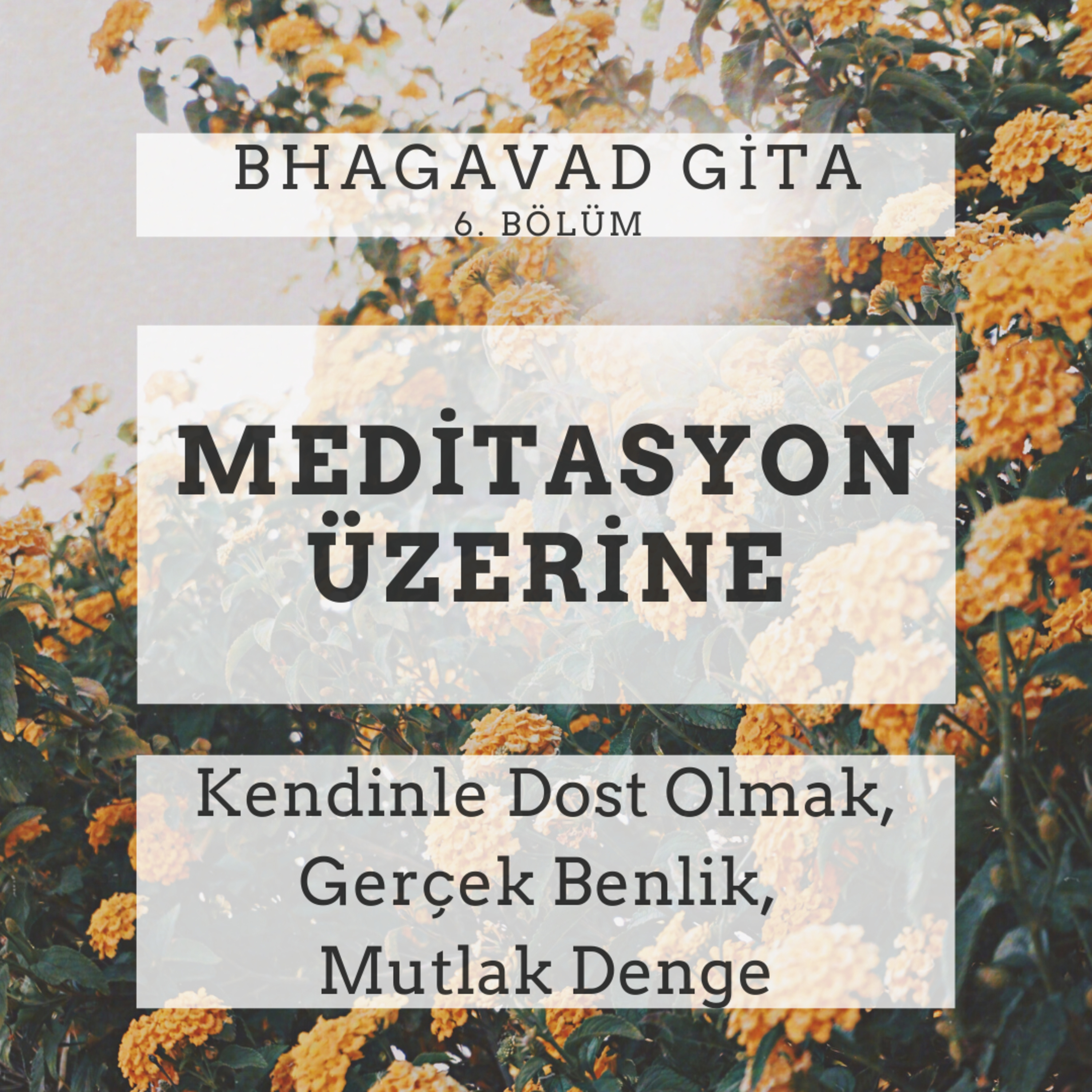 Damla Dönmez ile Yoga