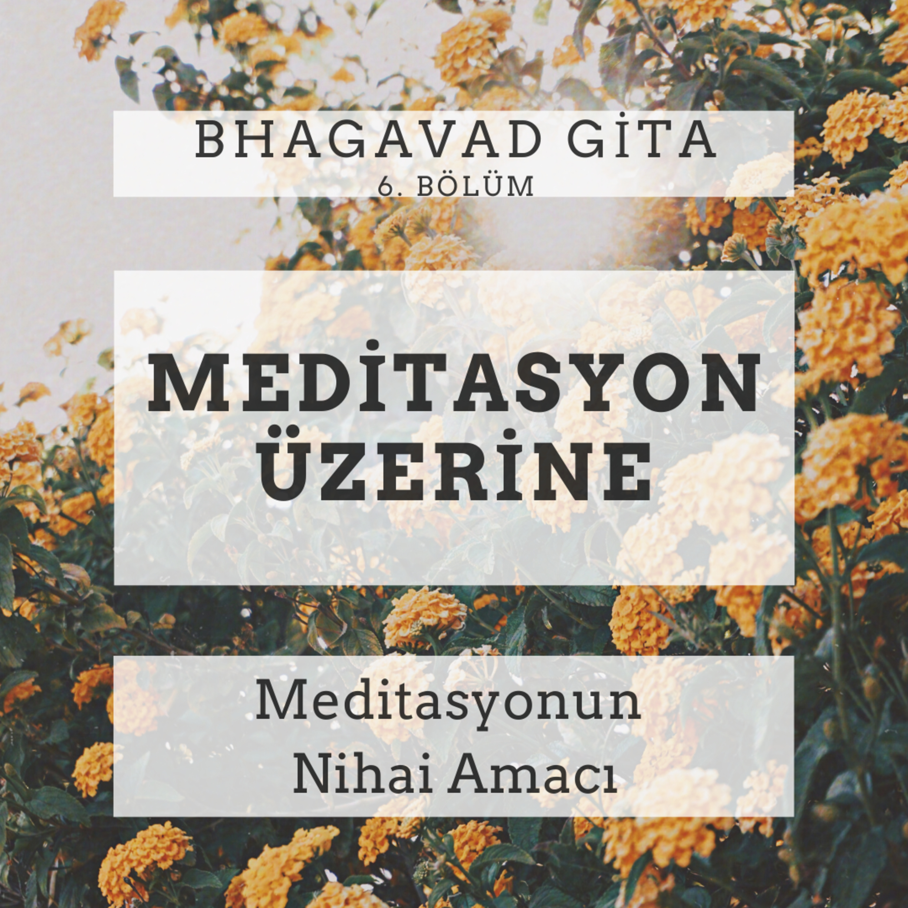 Damla Dönmez ile Yoga