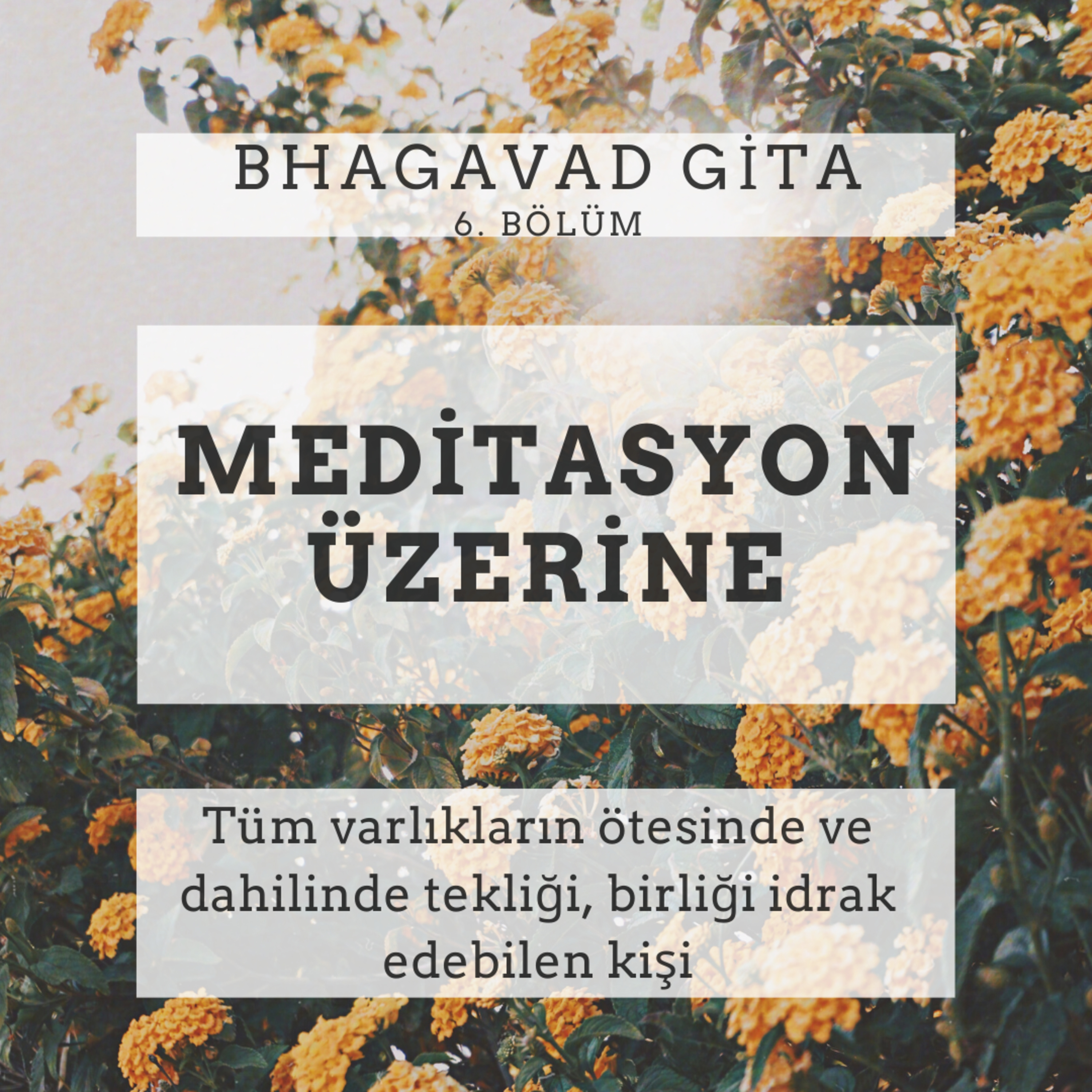Damla Dönmez ile Yoga