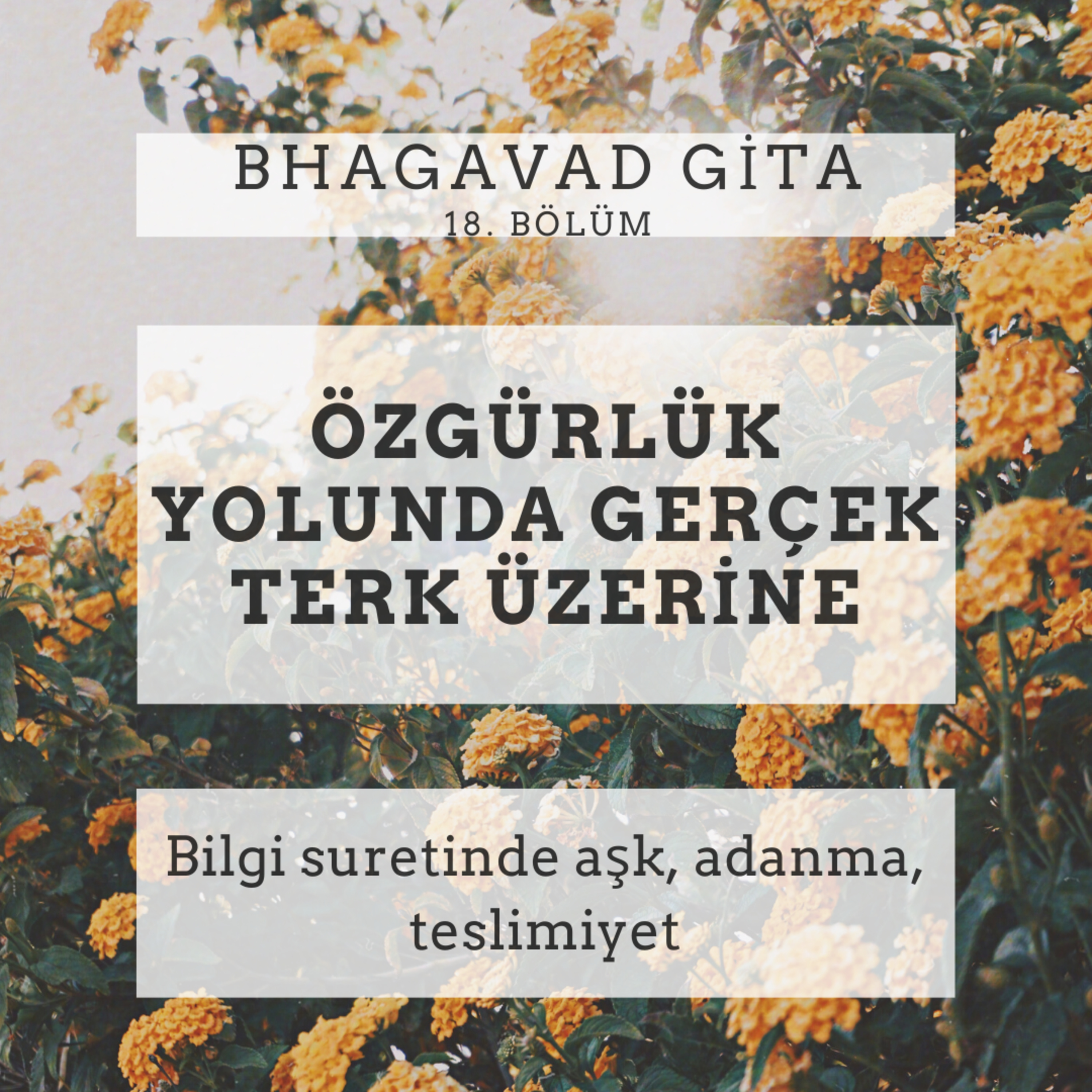 Damla Dönmez ile Yoga