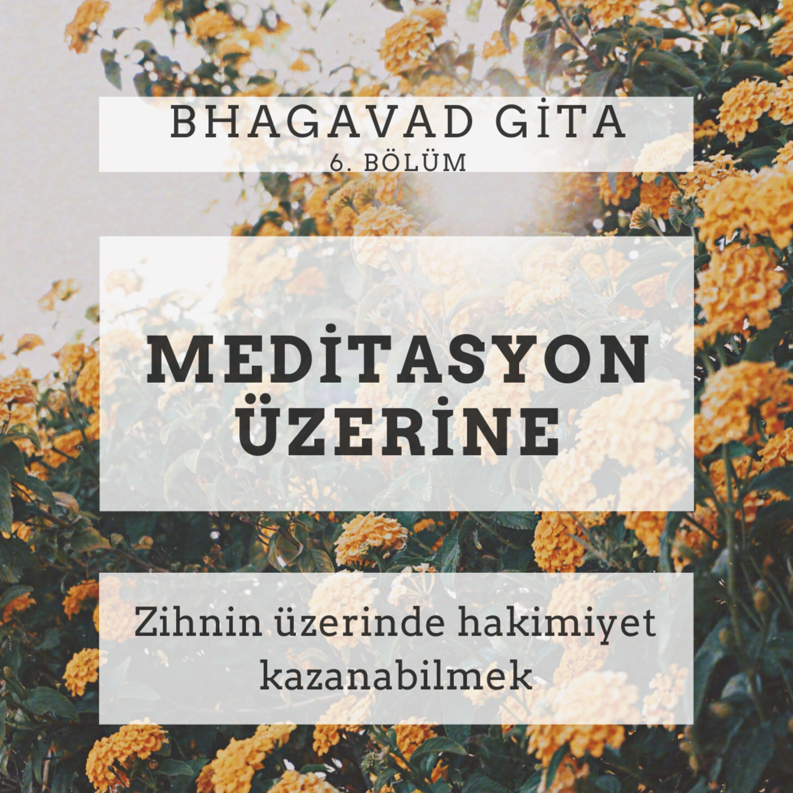 Damla Dönmez ile Yoga