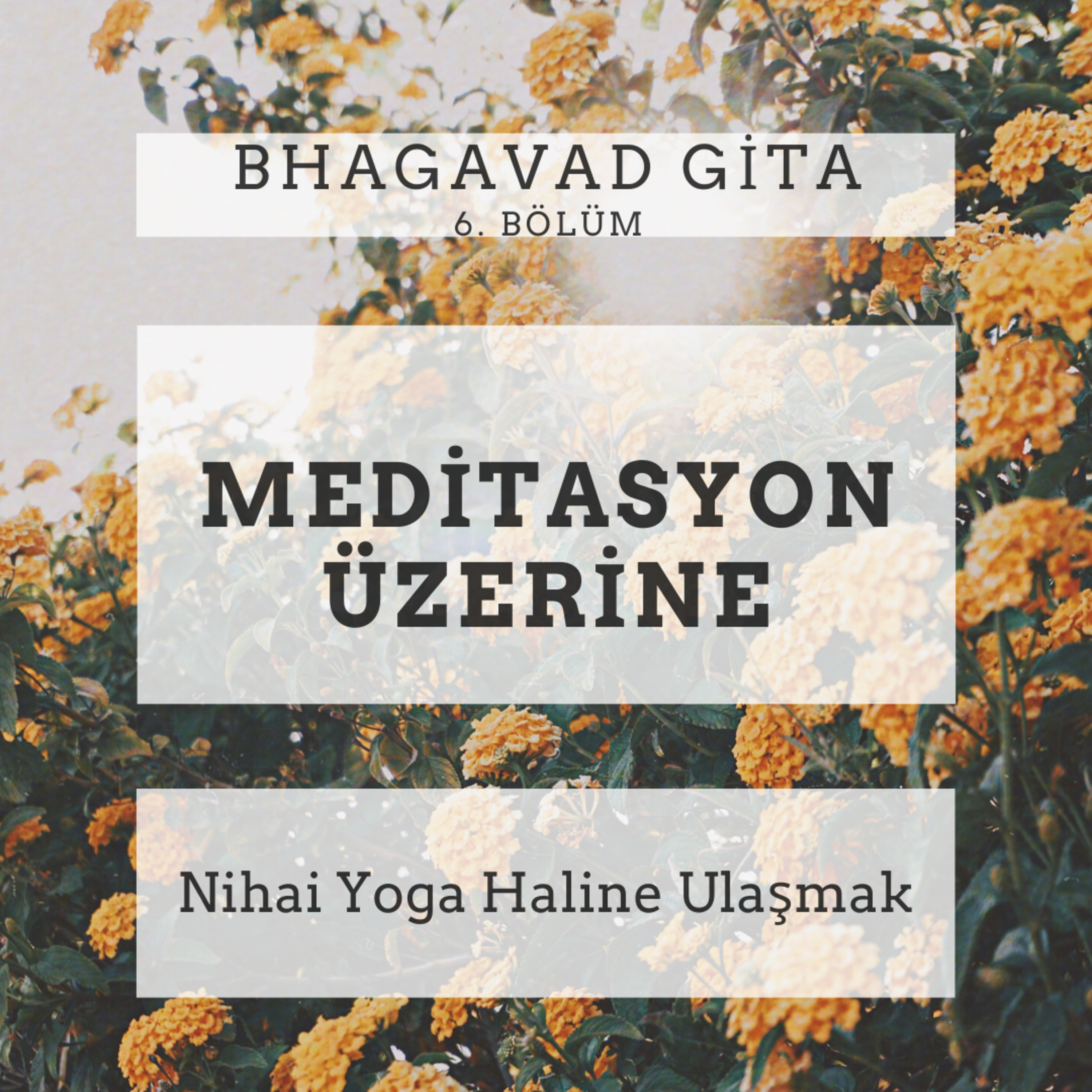 Damla Dönmez ile Yoga