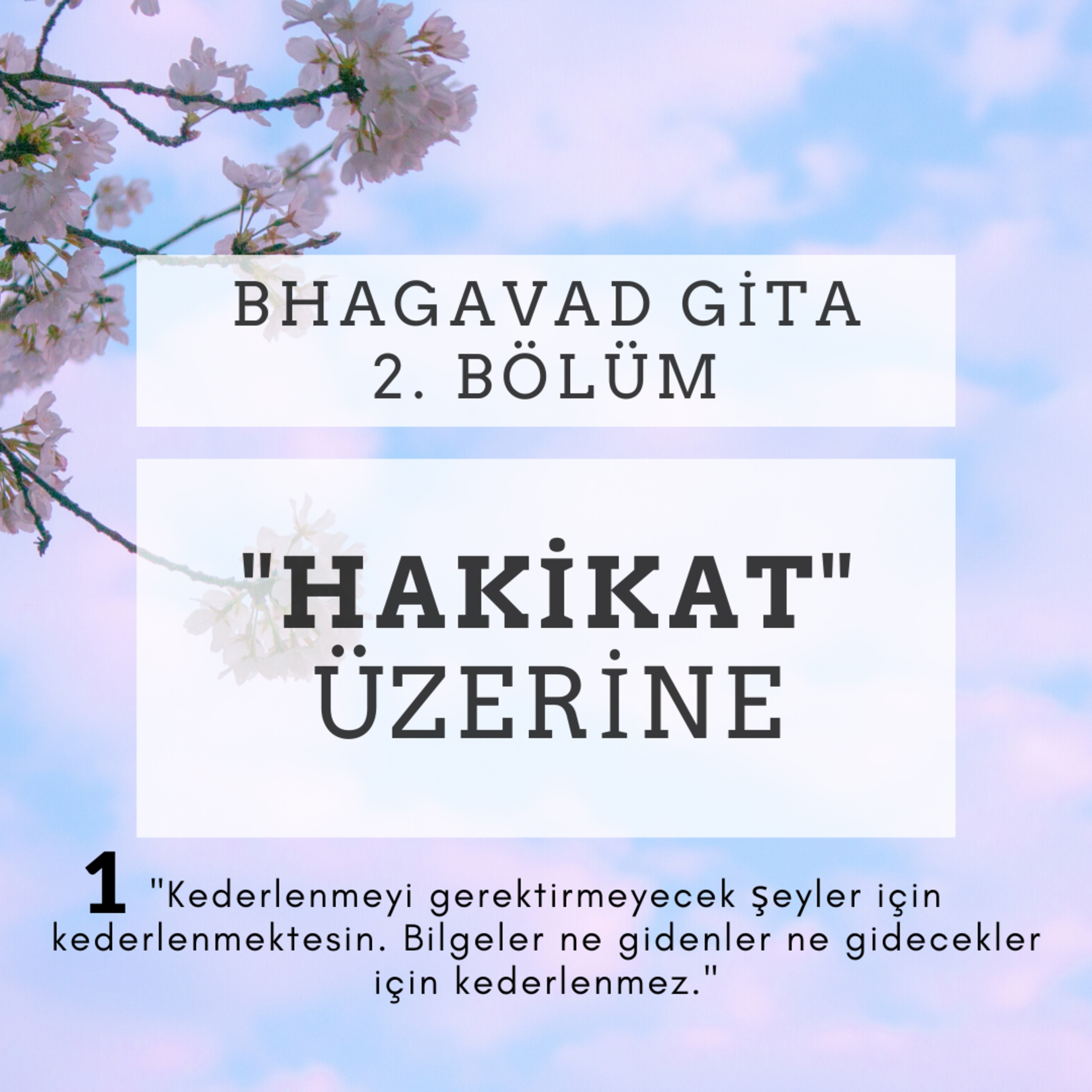 Damla Dönmez ile Yoga