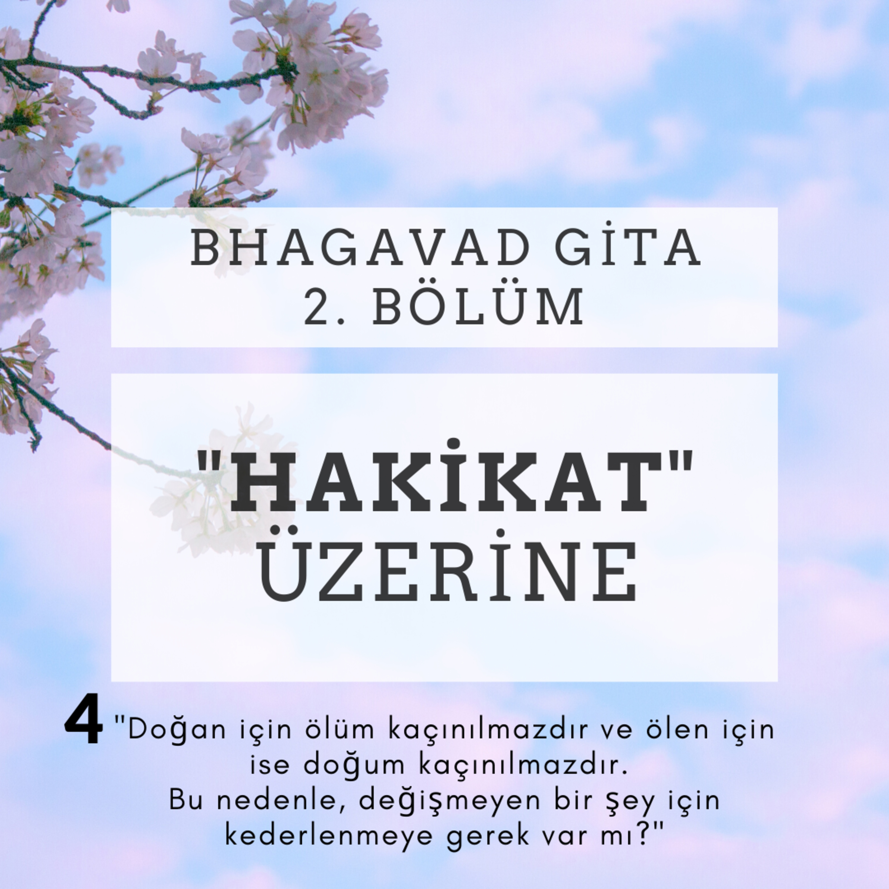 Damla Dönmez ile Yoga