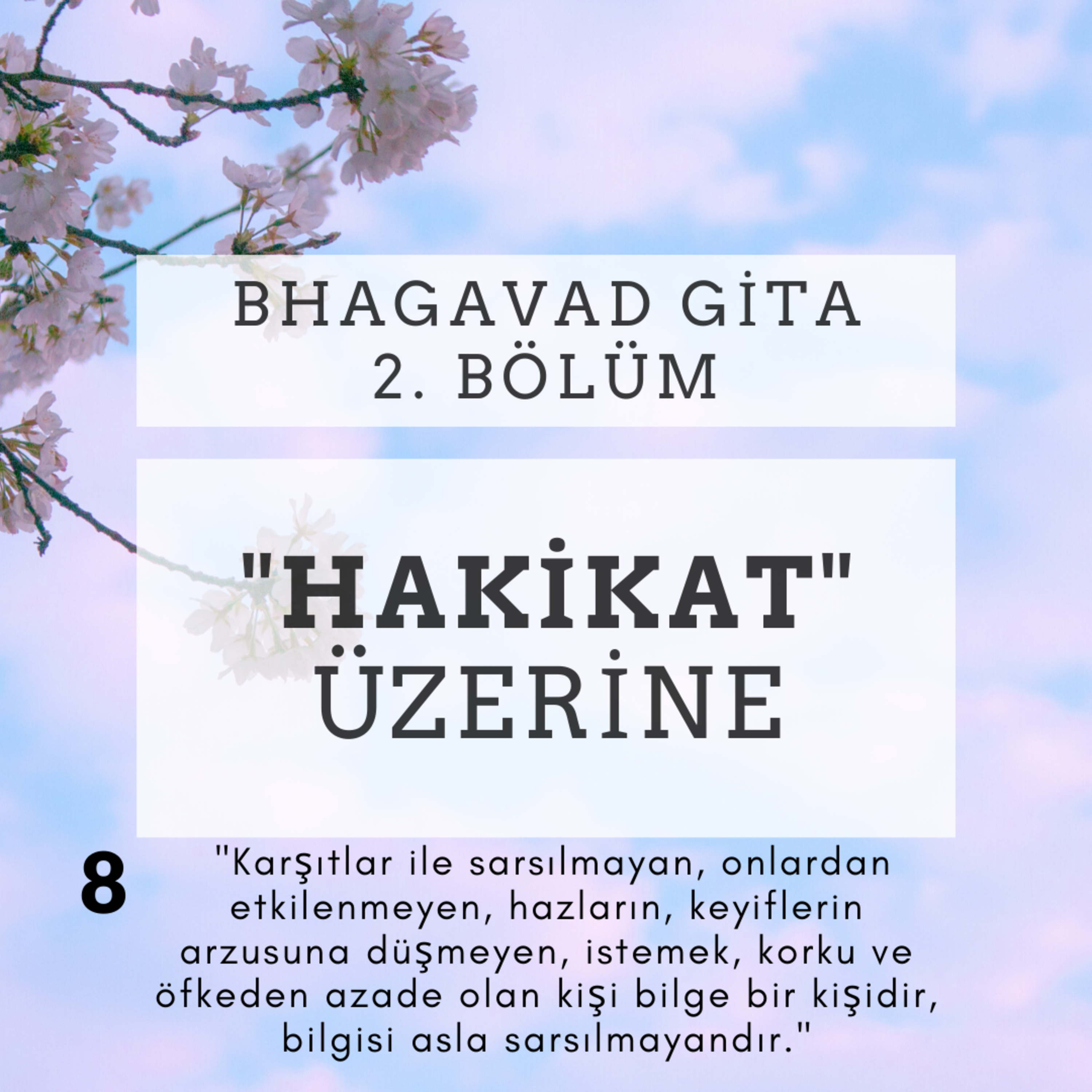 Damla Dönmez ile Yoga