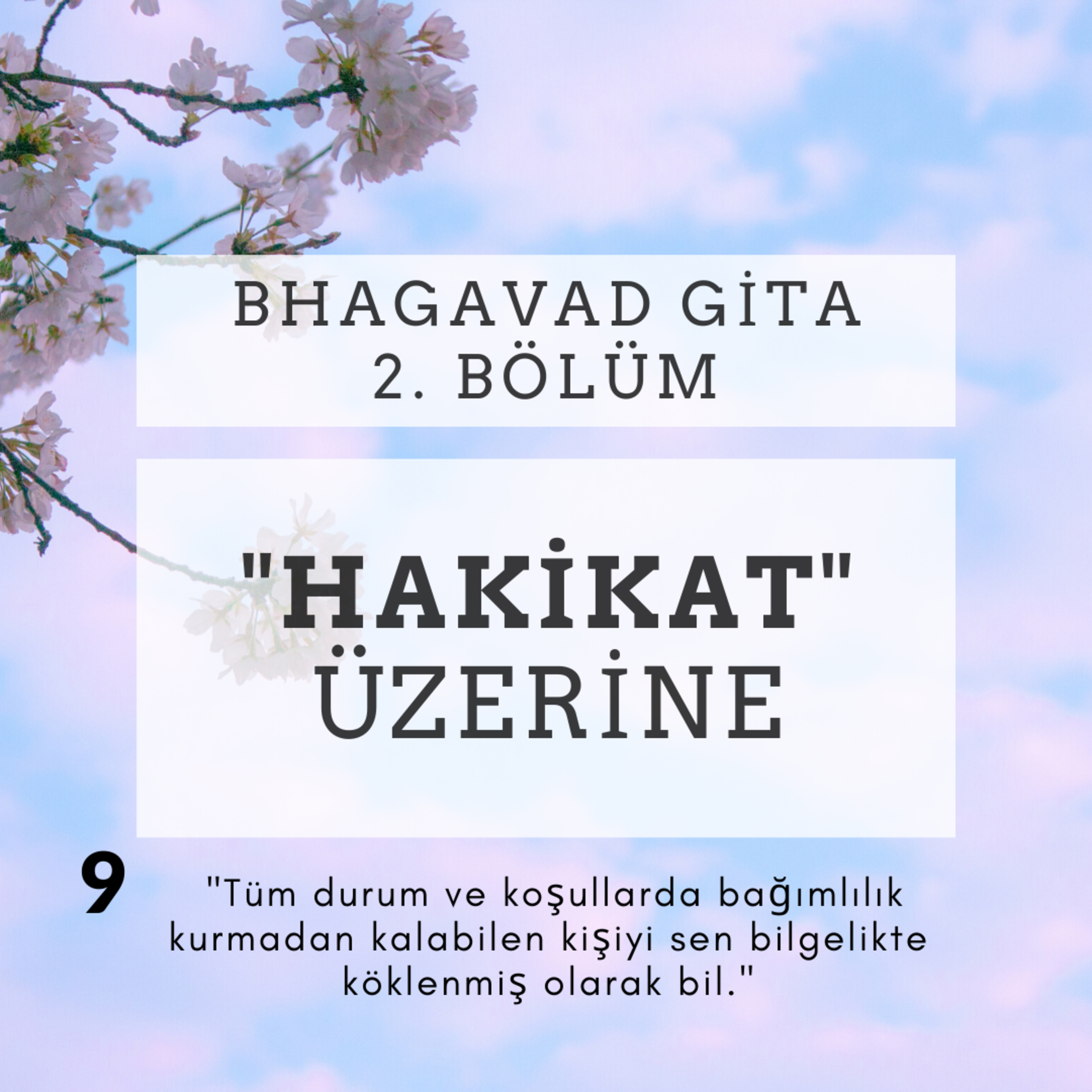 Damla Dönmez ile Yoga
