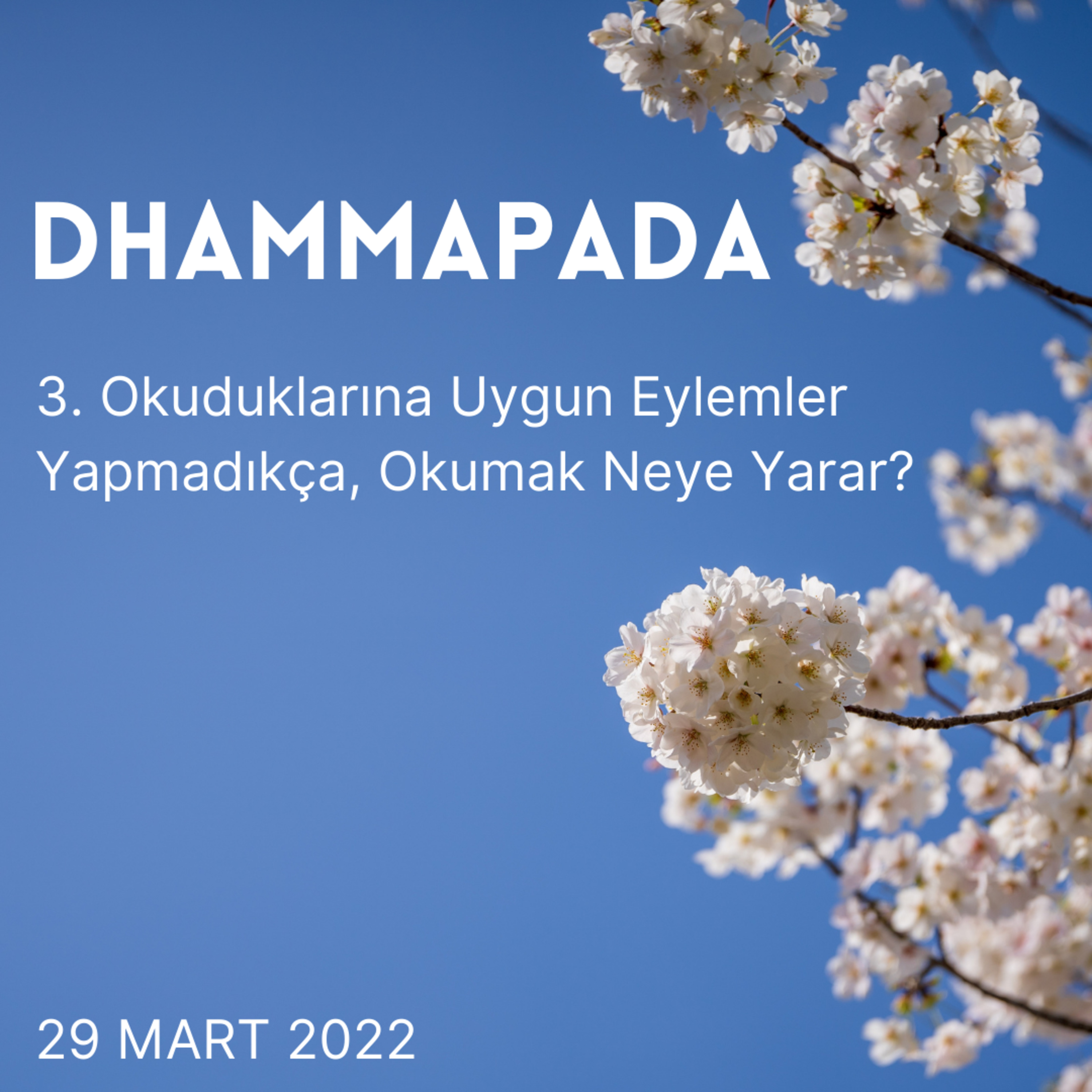 3 - Dhammapada - Okuduklarına Uygun Eylemler Yapmadıkça, Okumak Neye Yarar? episode artwork
